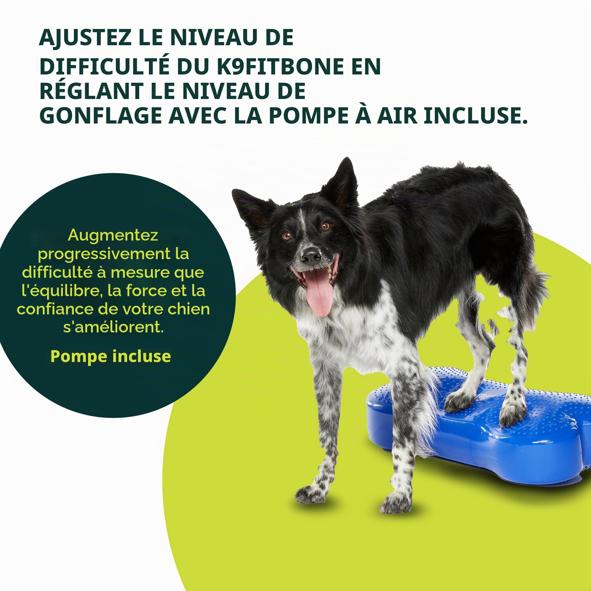 Ball Dynamics Int. LLC K9FITbone Disque d'Equilibre en Forme d'OS pour Chien Bleu Ciel 58 x 29 x 10 cm