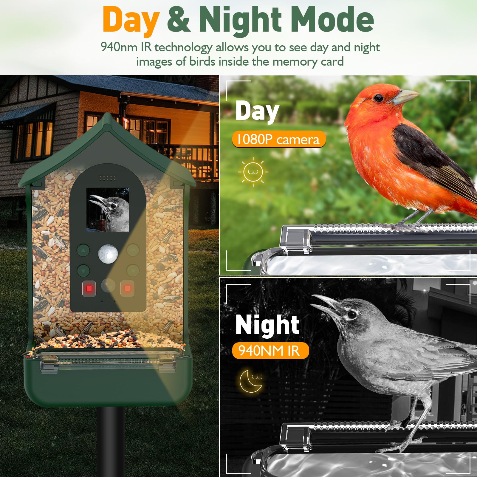 Vogelhaus mit Kamera Vogelhaus Kamera: 1080P HD Vogelfutterhaus mit Kamera Video Automatisch Aufnehmen Vogelhäuschen Kamera Nachtsicht Bird Feeder für Garten Draußen Vogelfutterspender - Grün