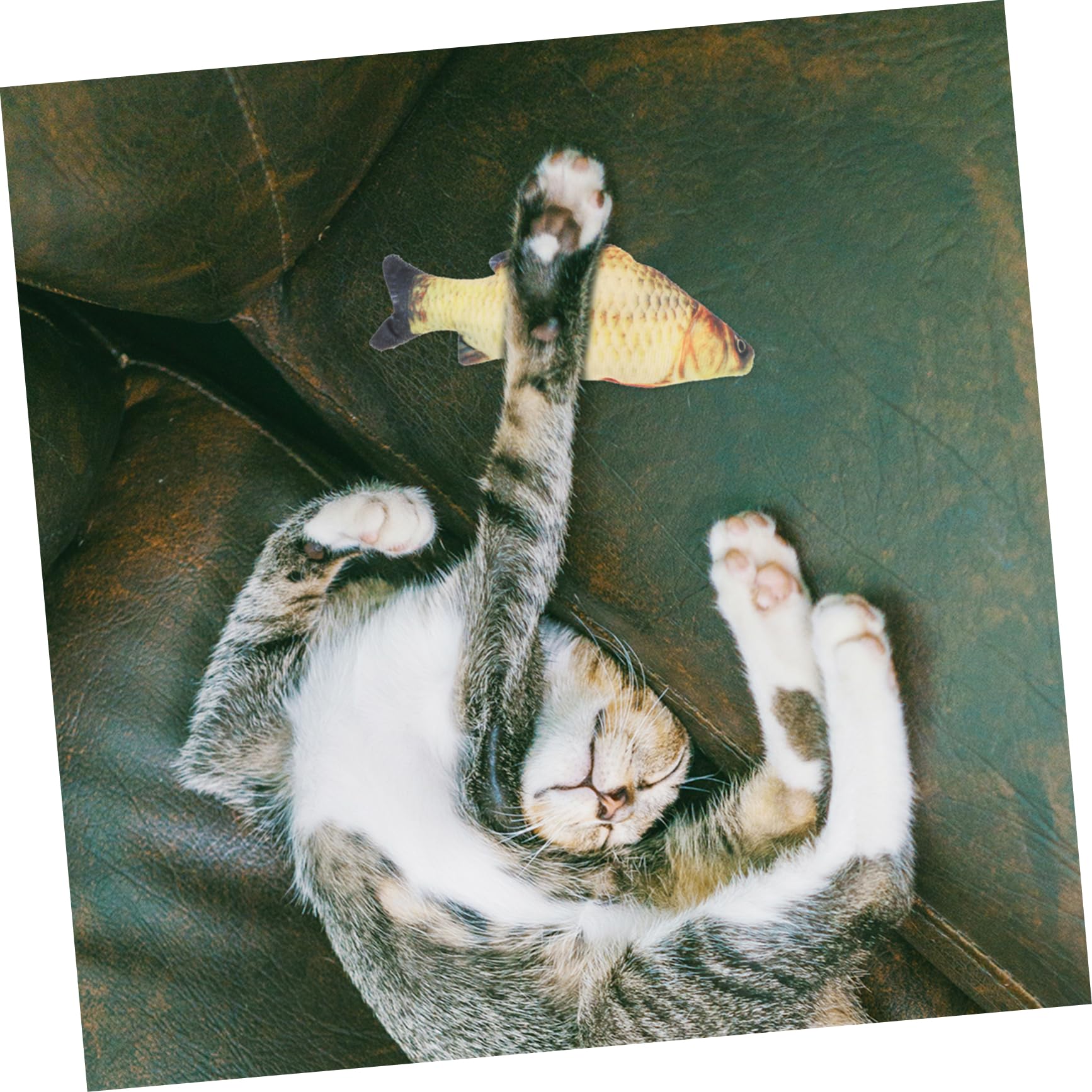 Happyyami 48stücke Teiliges Katzen-spielzeugset Mit Lustigen Spielstäben Und Bunten Künstlichen Mäusen Interaktive Katzenspielzeuge Aktivität Und Spielfreude Für Katzen Und Kätzchen