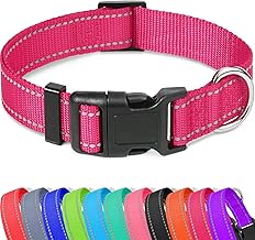 Taglory Reflective Adjustable Dog Collars for Puppy Small Medium Large Dogs, Thin Nylon Webbing and Quick Release Plastic Buckle(Hot Pink, Small)