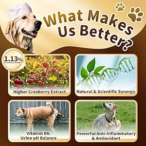 (2 Pack) POPPAW Dog UTI Treatment & Urinary Tract Support  Natural Herbal Drops with High Cranberry Extract, Vitamin B6 for Urine pH Balance, Bladder & Kidney Function, Chicken Flavor, 2 OZ