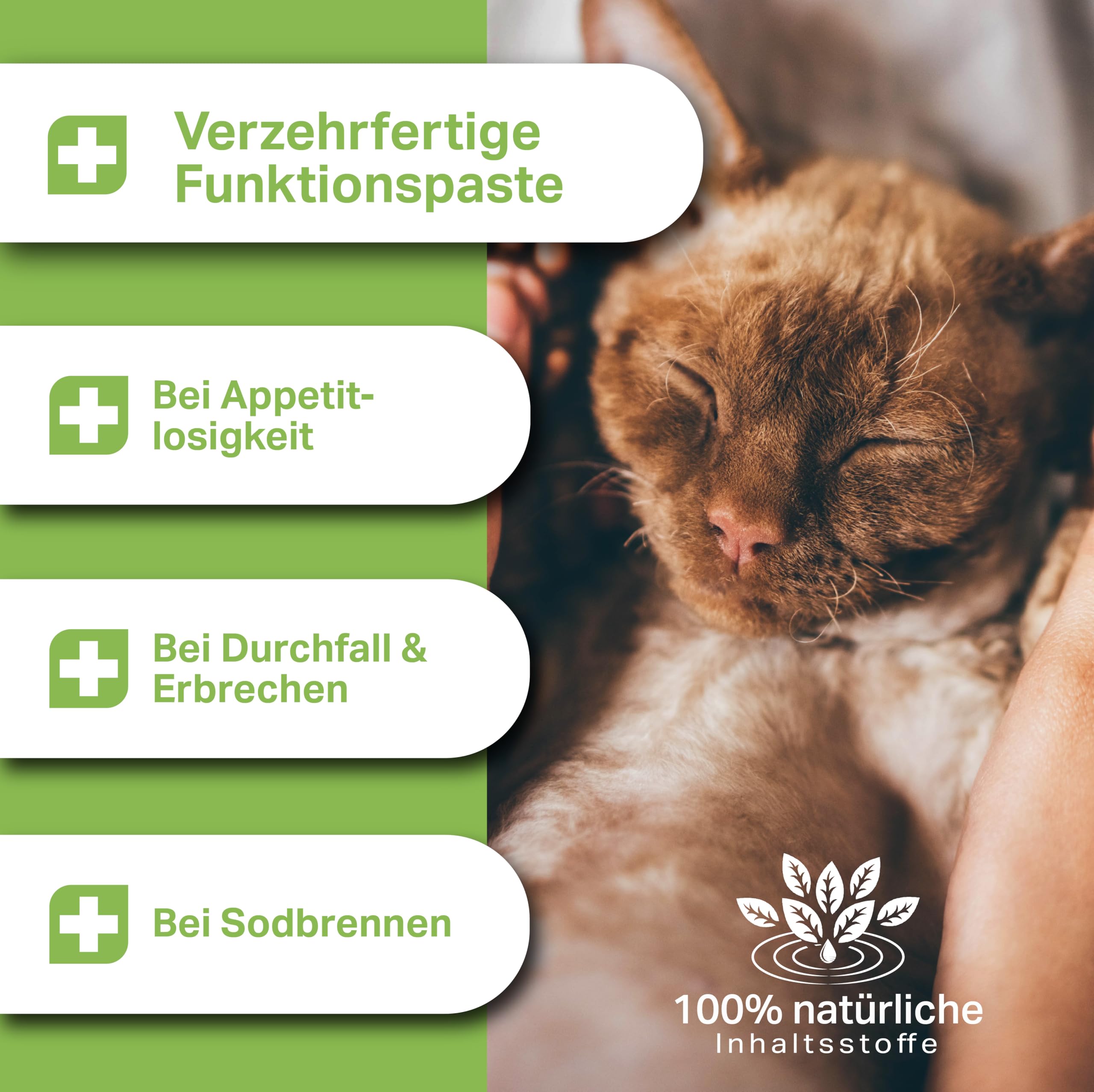 Pâte d'écorce d'orme premium – 200 g – pour chats – pour brûlures d'estomac, diarrhée et vomissements pour assainir l'intestin – Prêt à consommer