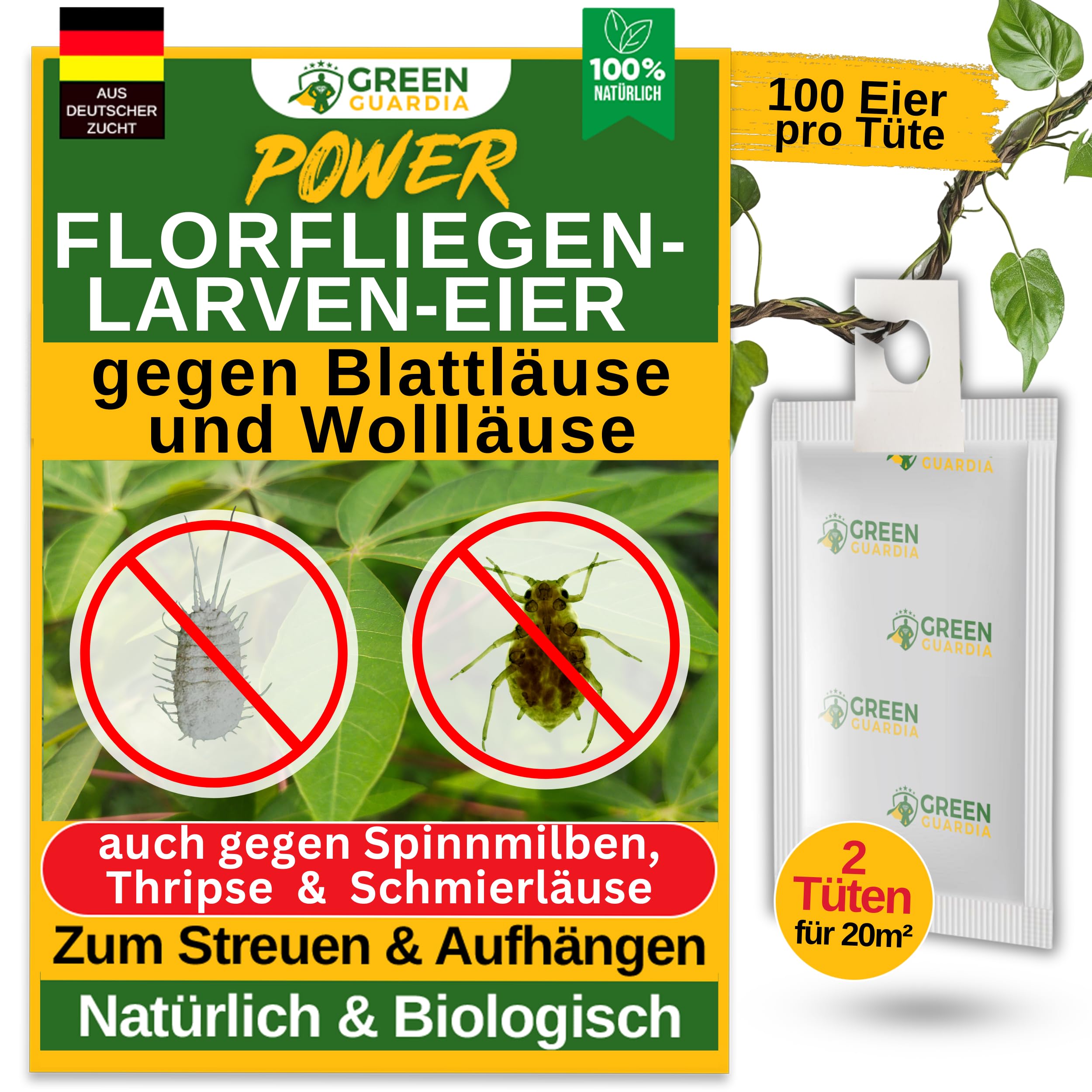 GREEN GUARDIA Power – Uova contro afidi e pidocchi – 2 sacchetti – Agente biologico per efficace lotta contro afidi e pidocchi di lana per piante d'appartamento e ornamentali UVM.