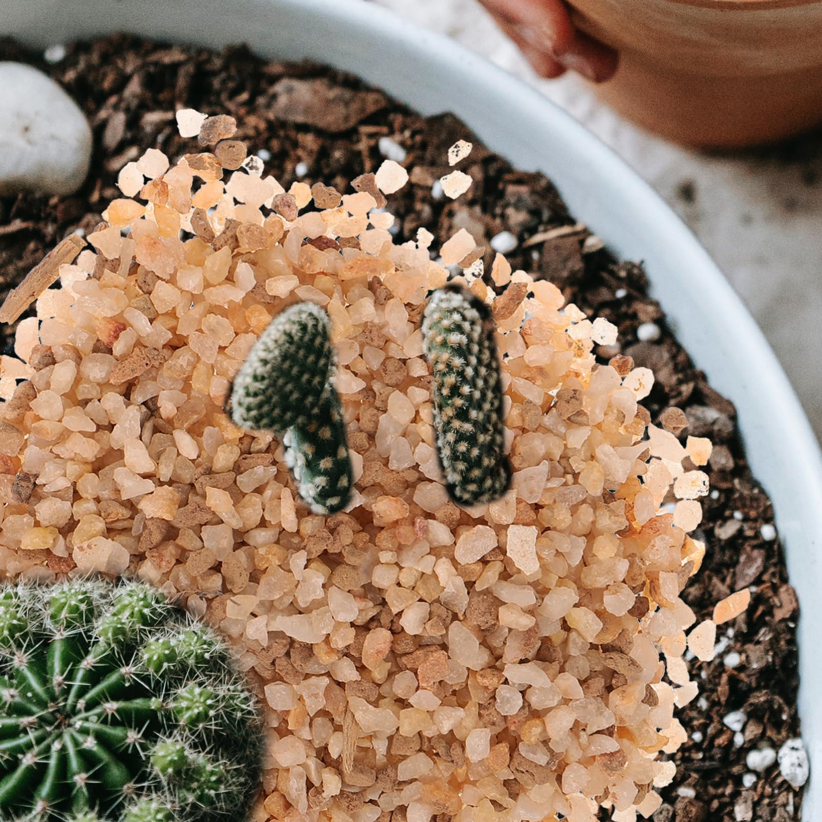 YARNOW Saco De Piedras Decorativas para Suculentas y Cactus Mezcla De Grava De para Jardinería Sustrato Natural para Plantas En Macetas