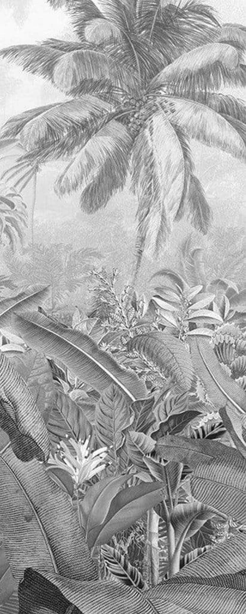 Komar Black-White Non-Woven Photo Wallpaper - Amazonia Black And White Panel - Size 100 X 250 Cm (Width X Height) - Jungle Amazon Rainforest Wall Wallpaper Living Room Bedroom