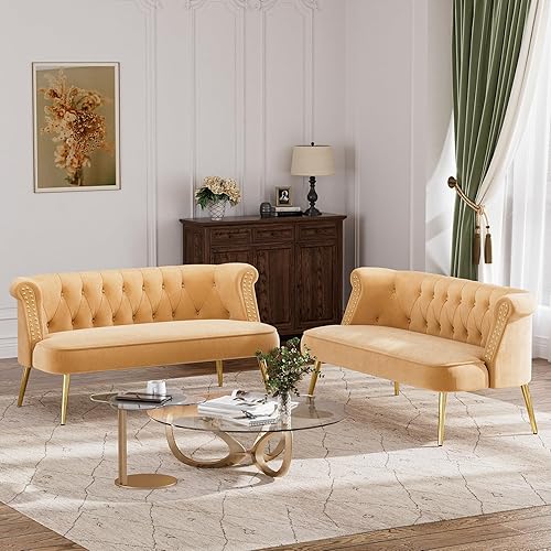 Nolohoo Juego de 2 sofás biplaza de terciopelo, modernos sofás de 2 plazas con patas doradas, muebles pequeños tapizados capitoné para sala de