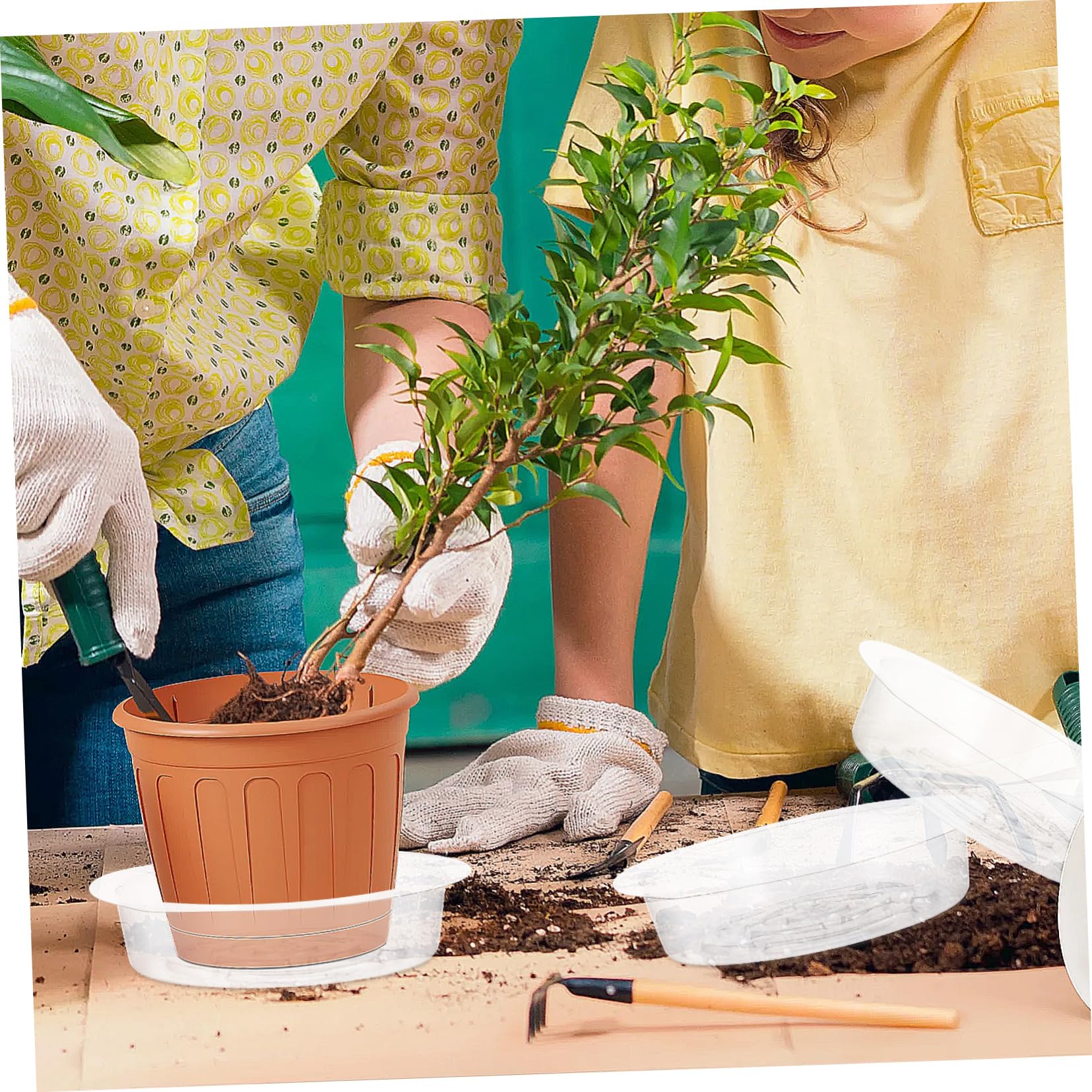 Abaodam 50 Stück Pflanzenuntersetzer Kunststoff Blumentopf Untersetzer für Gartenprojekte zur Verhinderung von Wasserschäden für Dekoration Zuhause