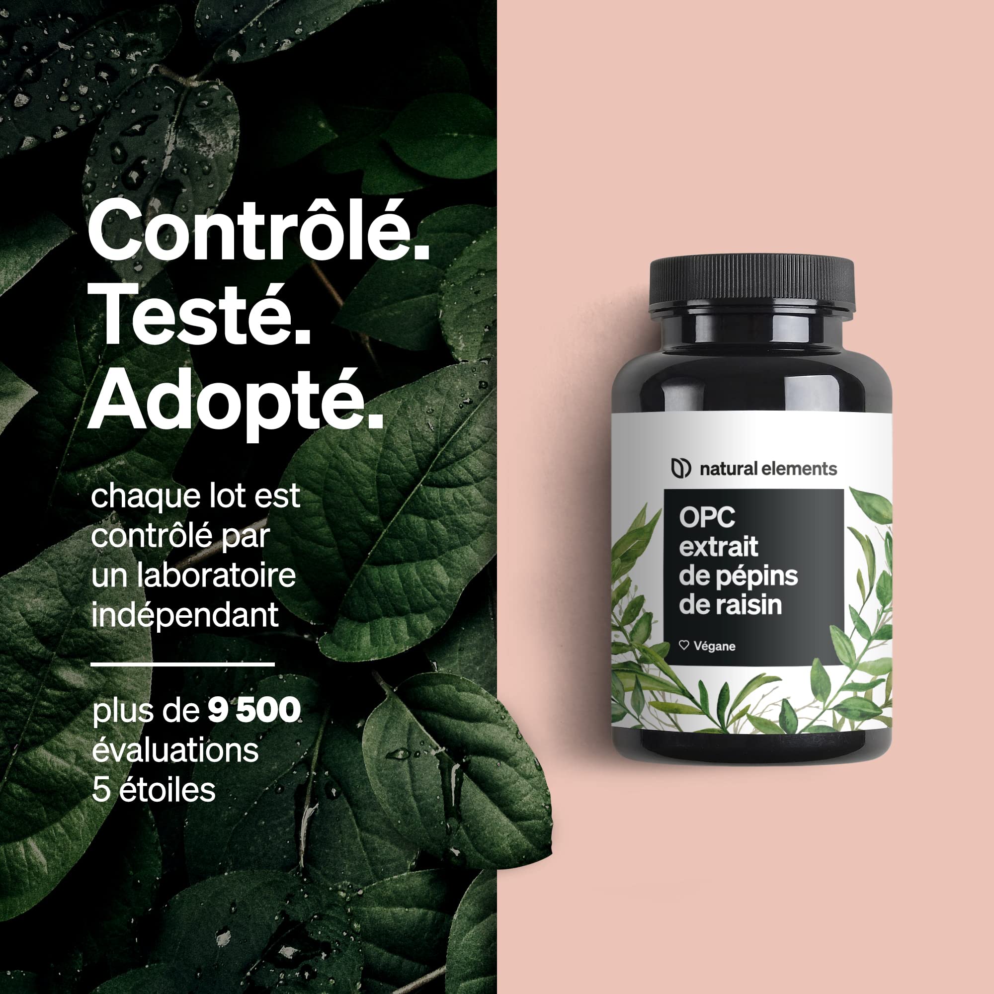 OPC extrait de pépins de raisin – 240 gélules hautement dosées pour 8 mois – OPC testé en laboratoire issu de raisins français – végane, fabriqué en Allemagne
