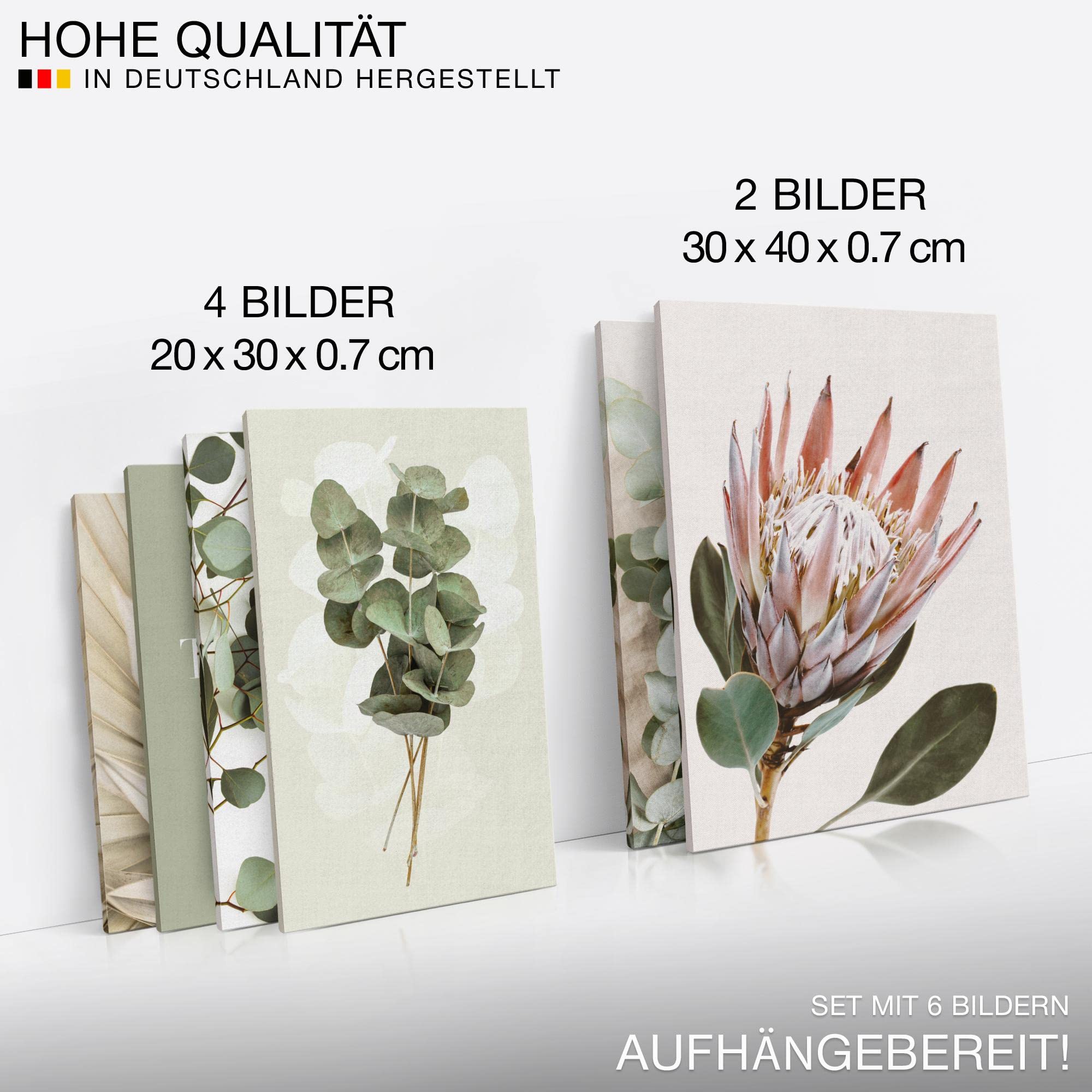 Novart Wandbilder Set 6 Teiliges Bild Grün Blätter Boho Beige, Schlafzimmer Bilder Wohnzimmer Modern Deko, Aufhängefertig Wanddeko Wohnzimmer