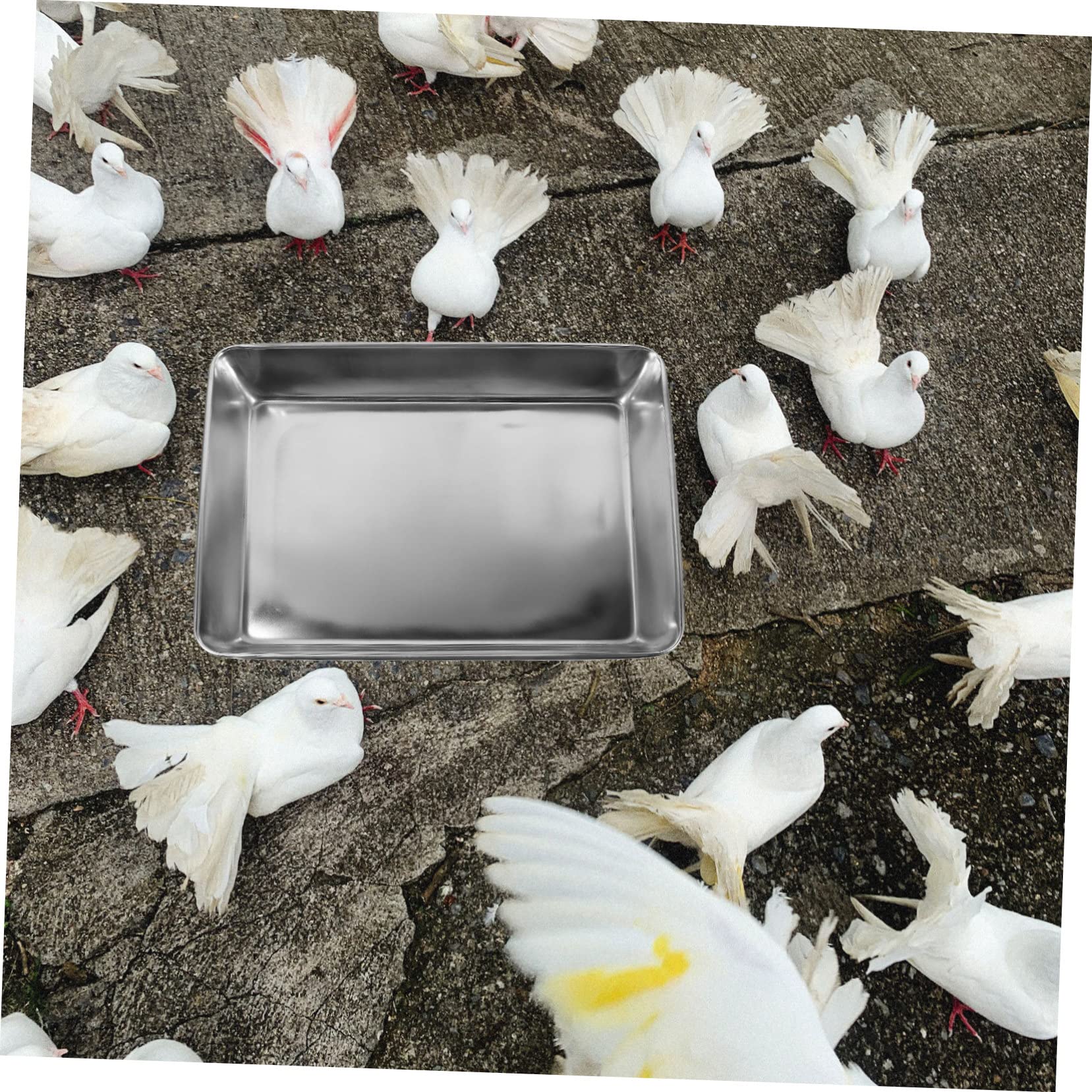 Toddmomy Vasca da Bagno Accessorio per Bagnetto Piccoli Uccelli e Piccioni in Acciaio Inossidabile Argento Allevia Stress Animale Domestico per Uccelli
