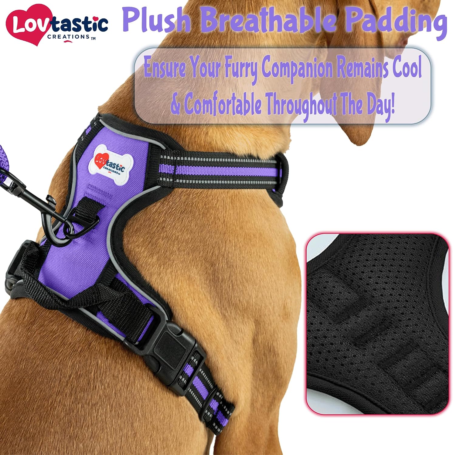 No-Pull Dog Harness - with Strong & Durable Dog Leash & Free Poopbag Holder 3pcs Set | Reflective No-Choke Pet Harness (MED-Purple)