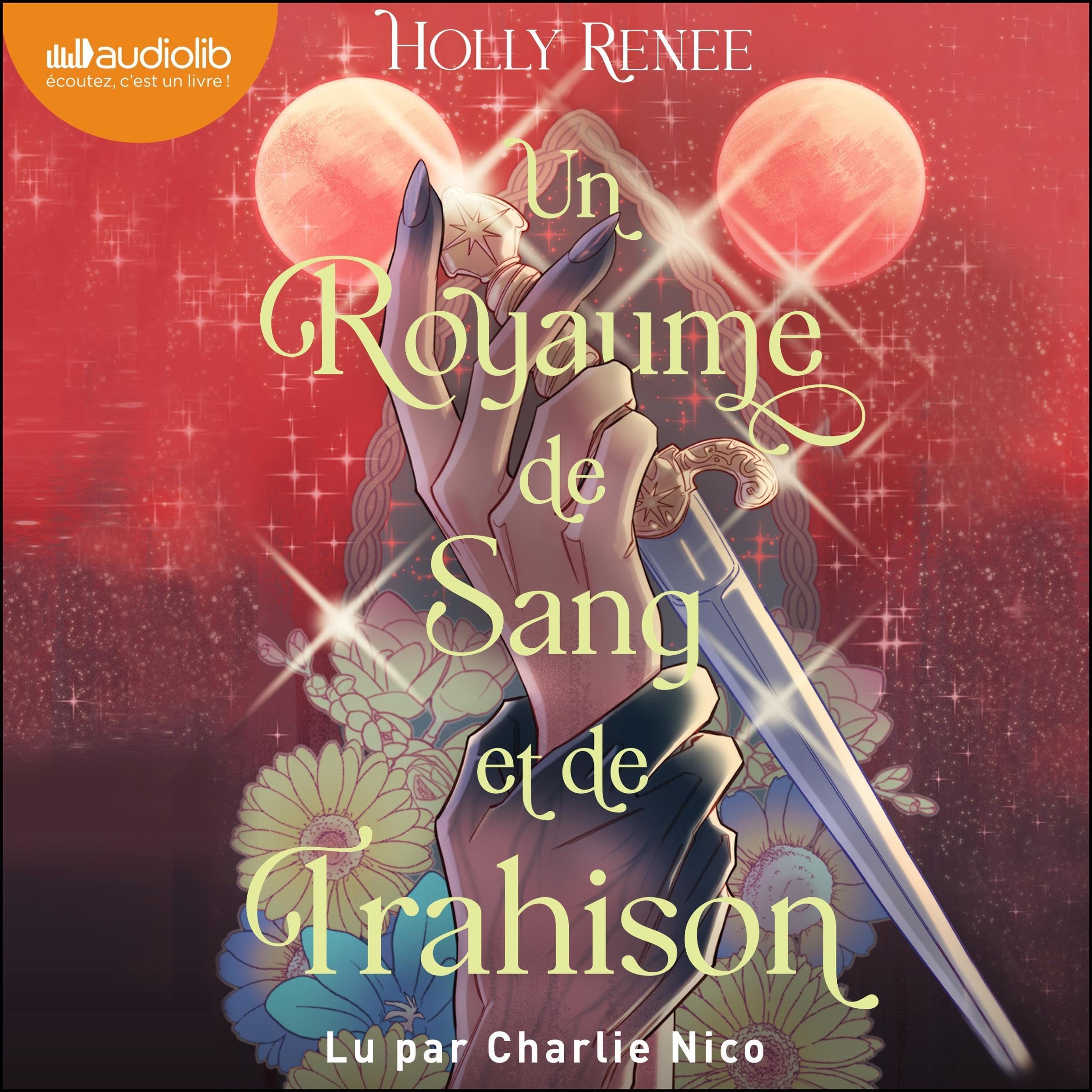 Cover art for Un royaume de sang et de trahison