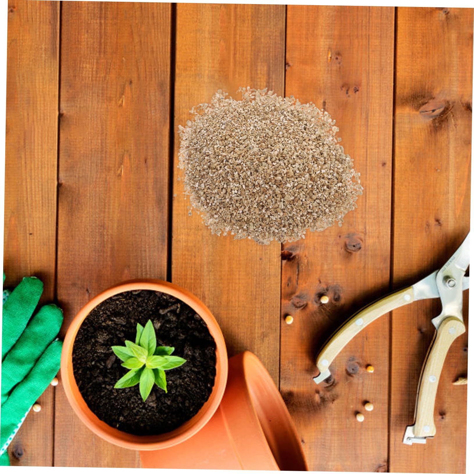 Vermiculite Horticole Fine 3l pour Jardinage et Croissance des Plantes | Rétention D’eau Élevée, Ph Neutre, Usage Maison pour Jardins et Pots D’intérieur