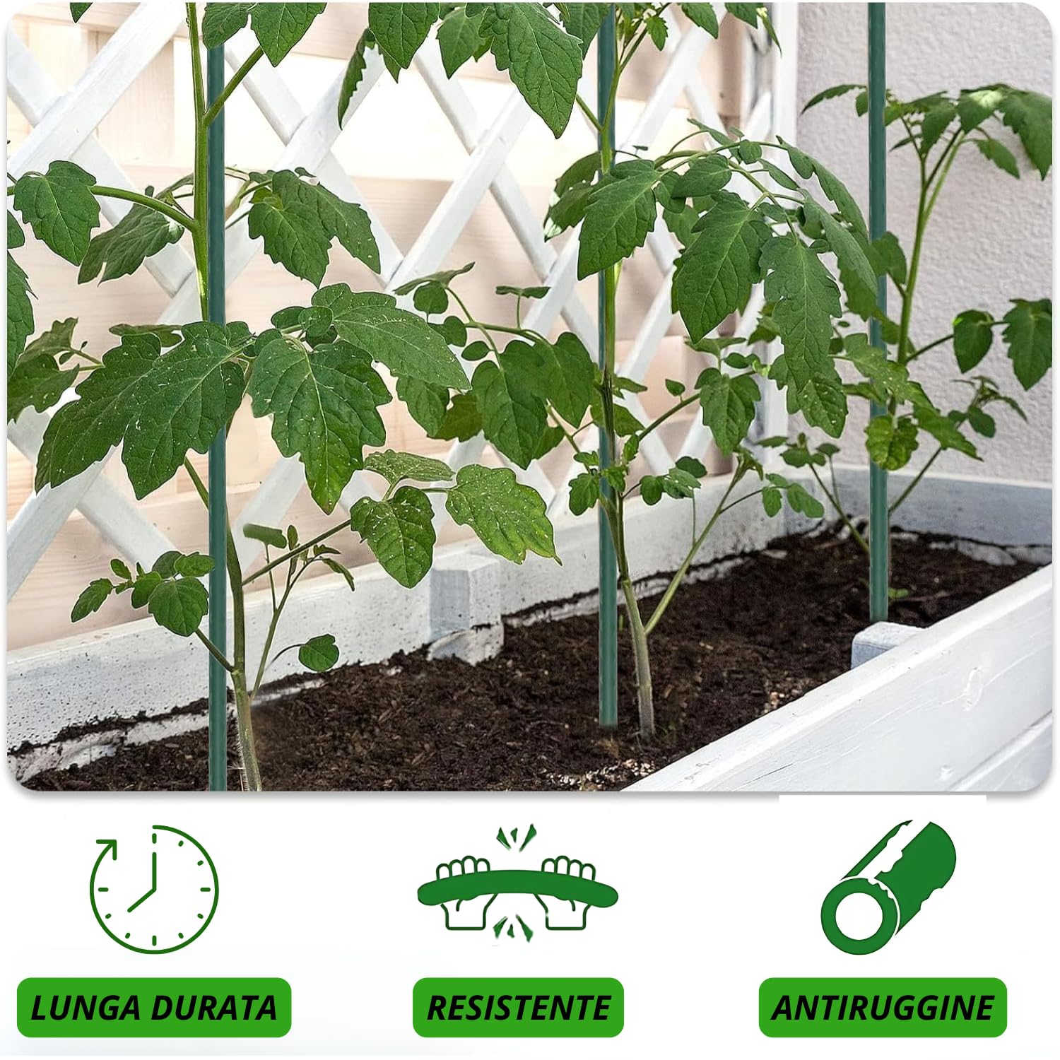 Bastoncini Supporto Piante Rampicanti Set 25 Cannette Acciaio Plastificato Bastone 1,6 Ø x 180 cm Tutore Verde Giardino Orto Pomodori Melenzane