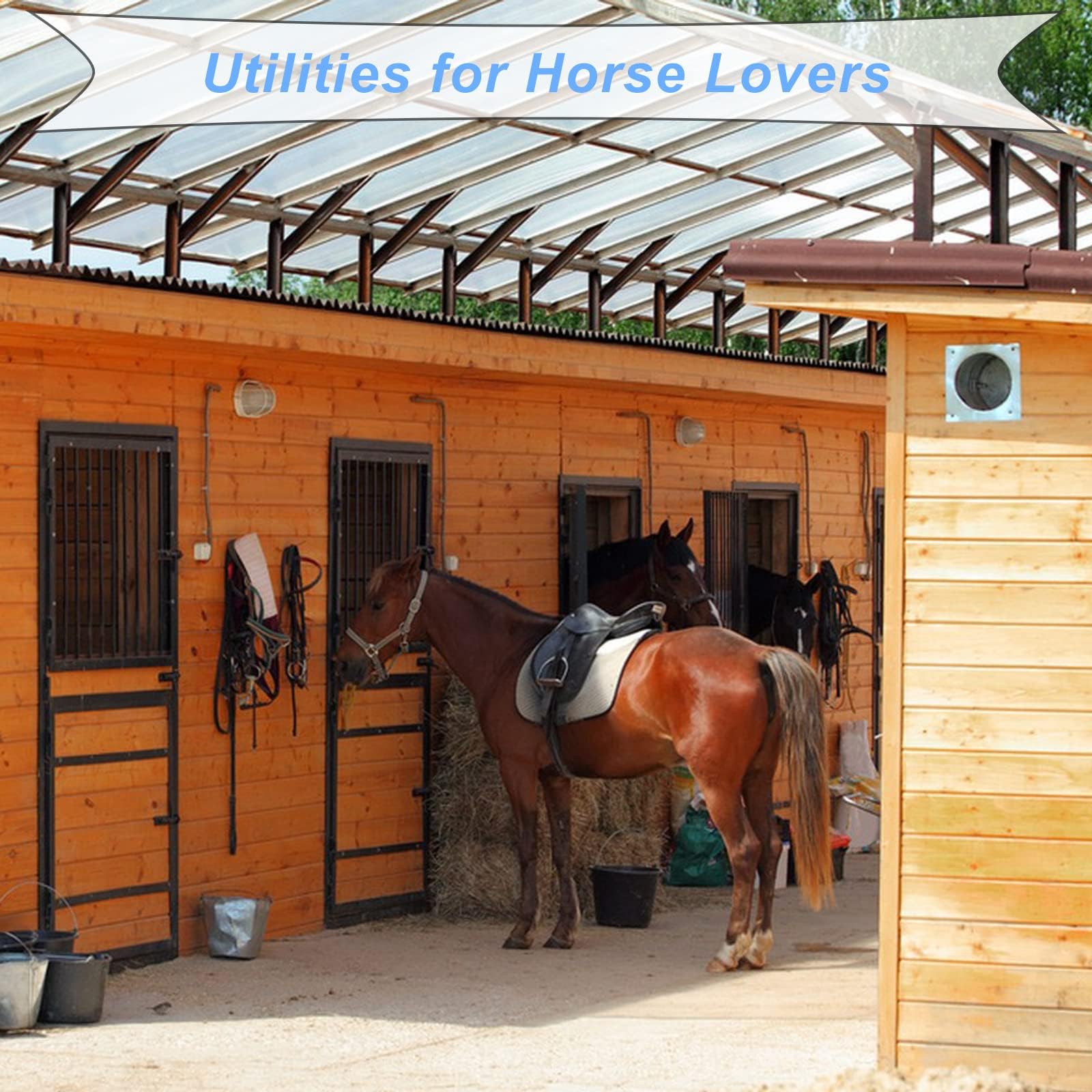 Lot de 12 Supports pour Bride de Cheval, Porte-bride Mural avec Tube d'Expansion et Vis, pour Les Selles, Les Stalles, le Stockage des Cordes