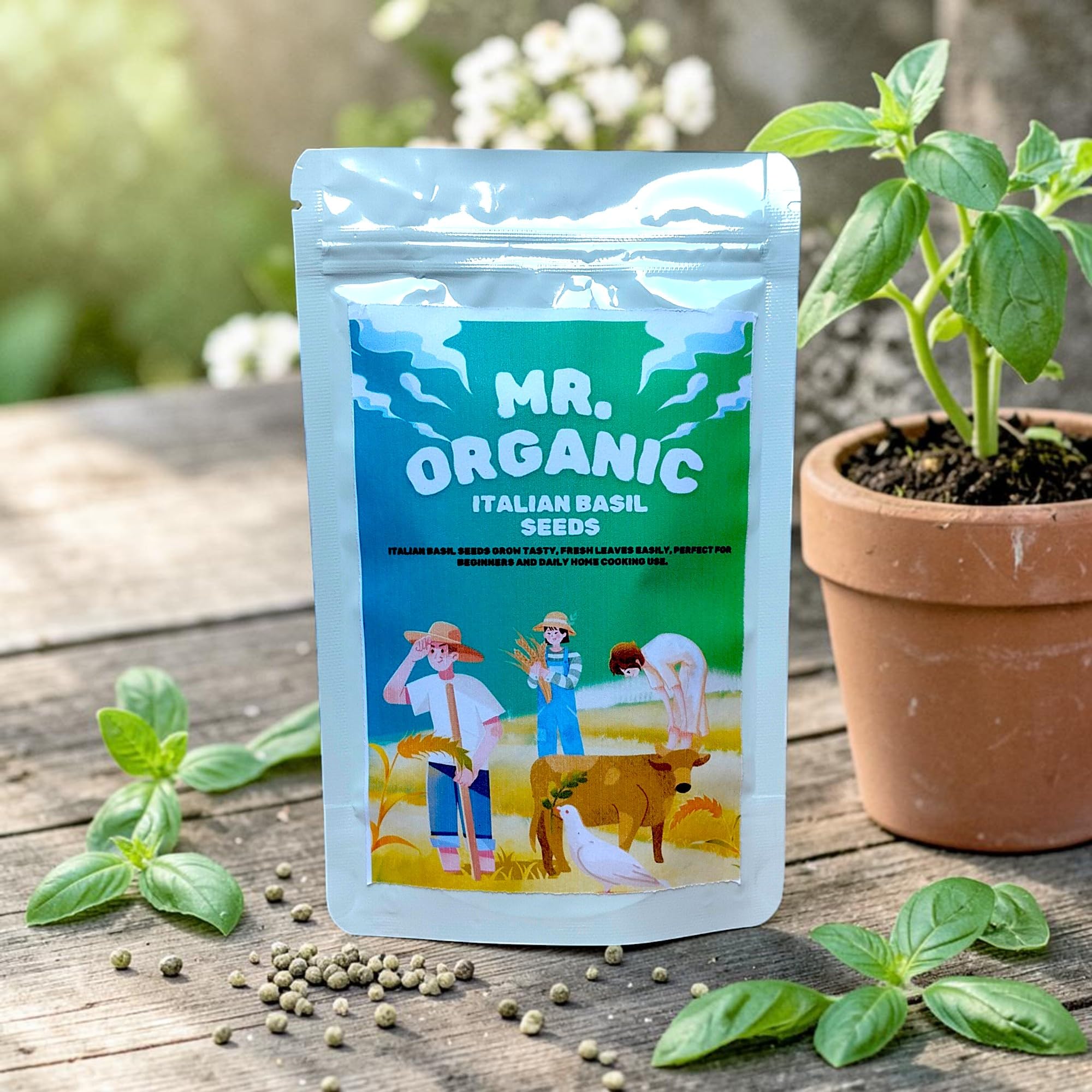 Italian Basil Seeds - Grow Fresh Herbs at Home -2