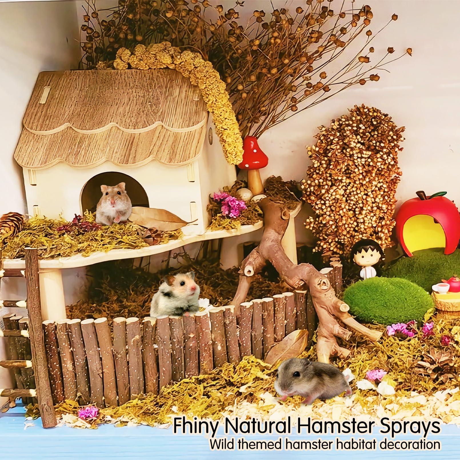 Natural Dwarf Hamster Habitat Dwarf Hamster Enclosure Hamster