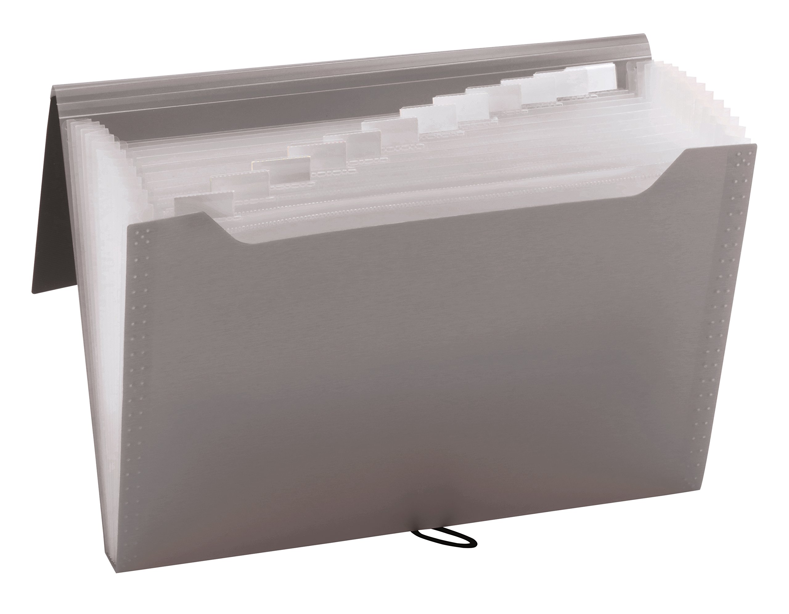 Pendaflex 82113 - Archivador profesional de 13 bolsillos, tamaño de letra, varios colores