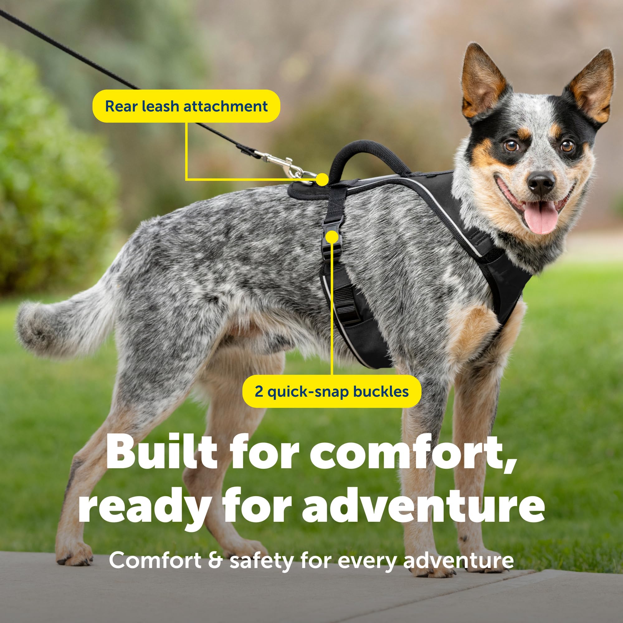 PetSafe EasySport - Harnais pour Chien - Réglable - Rembourré - avec poignée de contrôle et Passepoil réfléchissant - Taille M - Noir