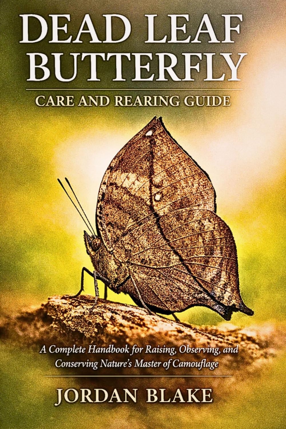 Dead Leaf Butterfly Care and Rearing Guide: A Complete Handbook for Raising, Observing, and Conserving Nature’s Master of Camouflage