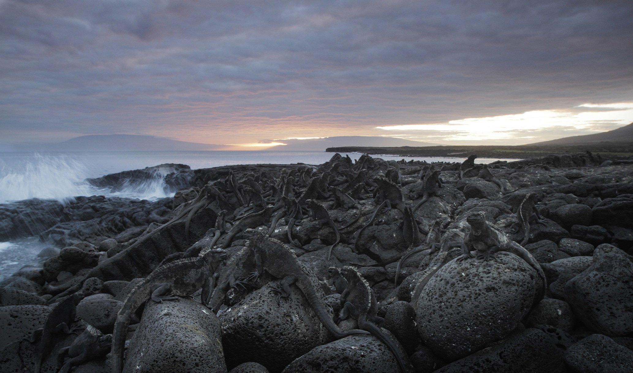 Galapagos mit David Attenborough