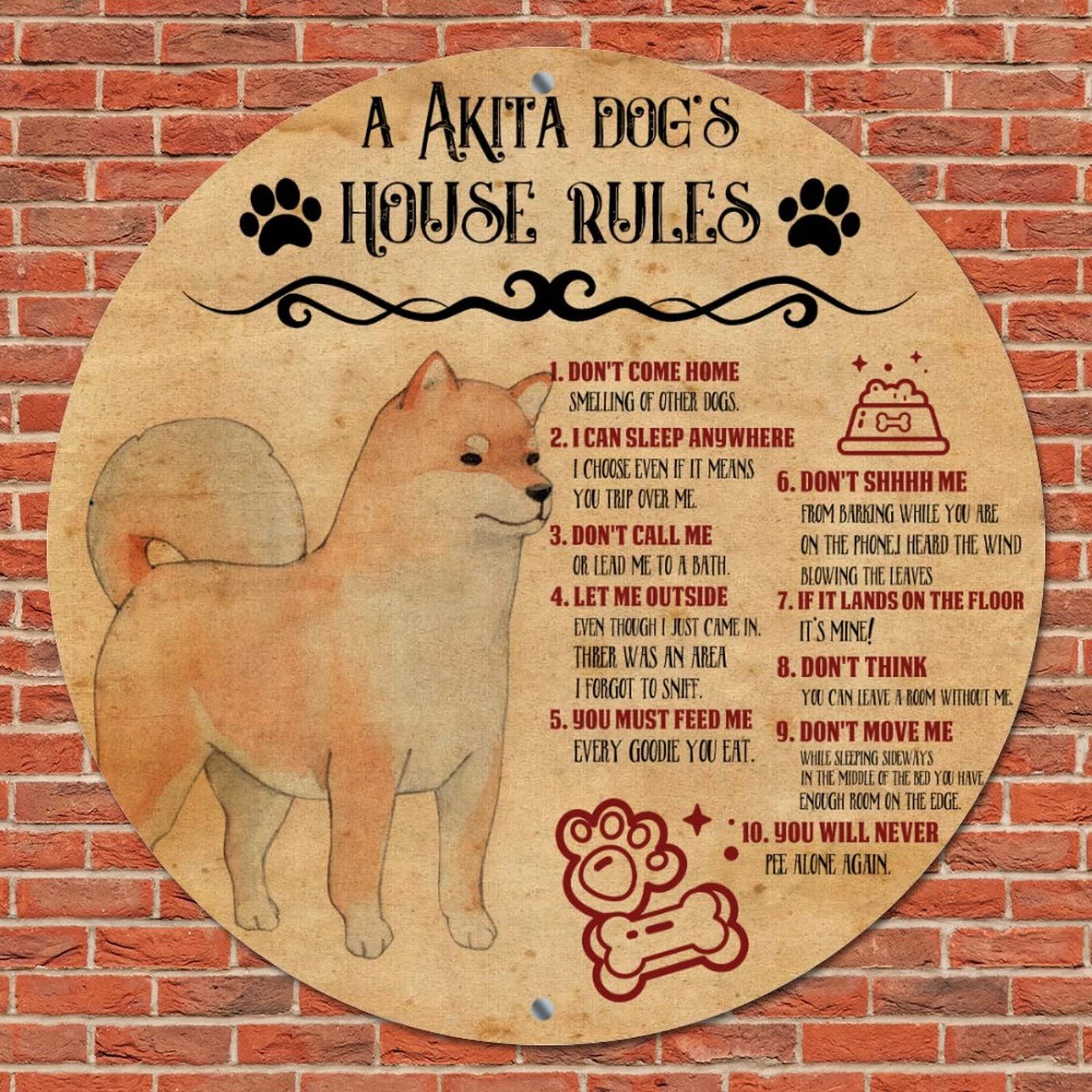 What If A Dog Eats Metal