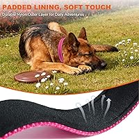 Vista 4 de Taglory Collar reflectante para perro con hebilla de bloqueo de seguridad, collar acolchado de neopreno suave para perros extragrandes, anillo en D