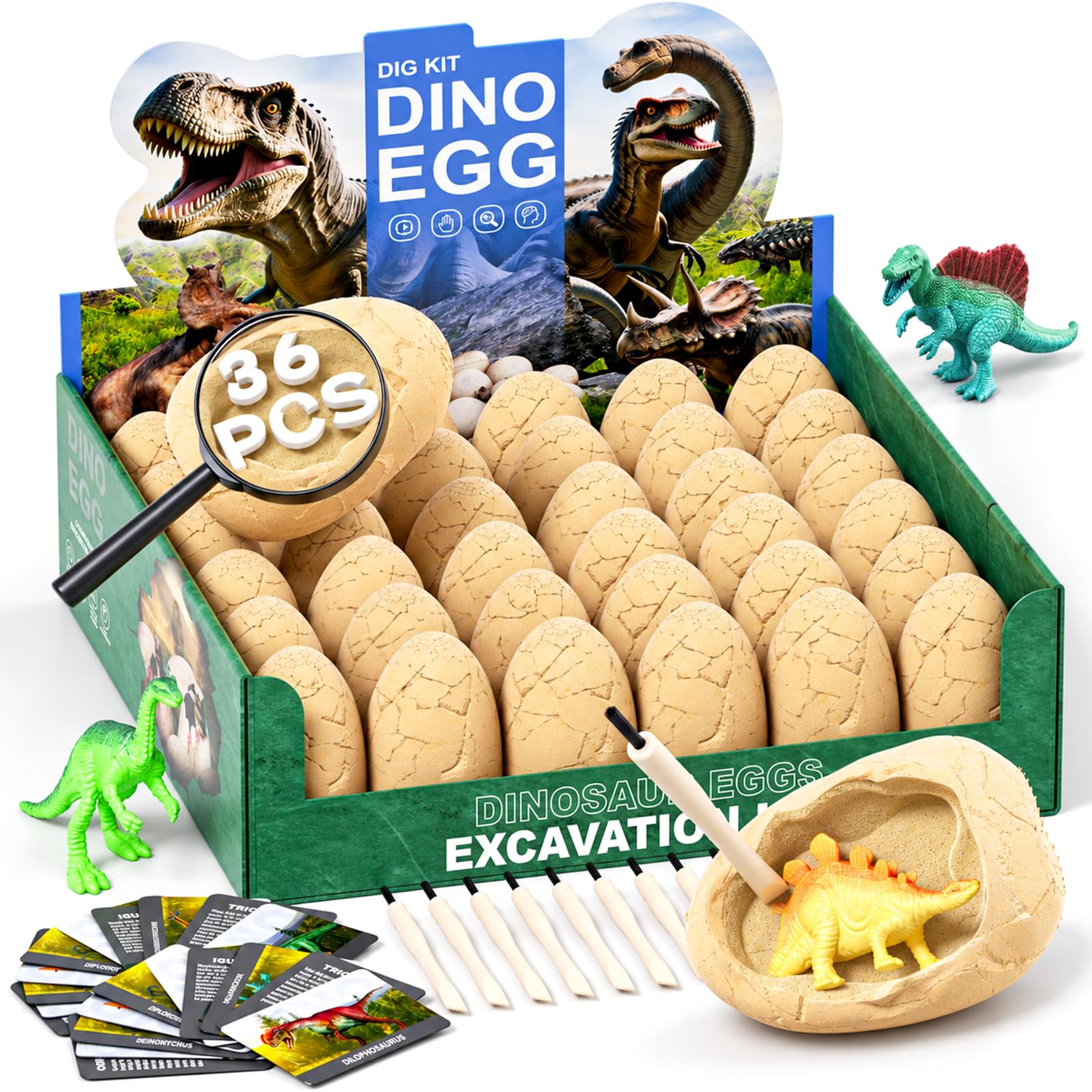 Amazon.com: 36-Pack Dinosaur Eggs Dig Kit Toys, Excavation Kit