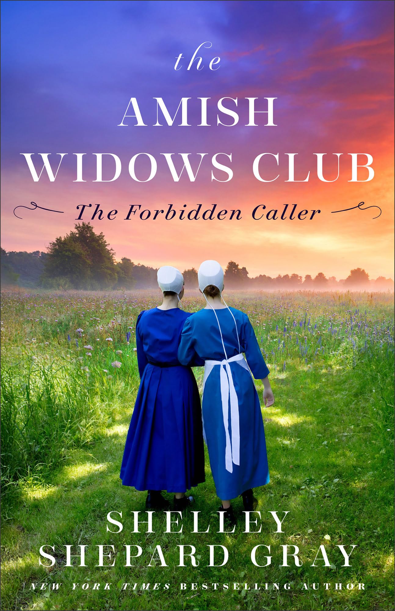 The Forbidden Caller: 2 (The Amish Widows Club)