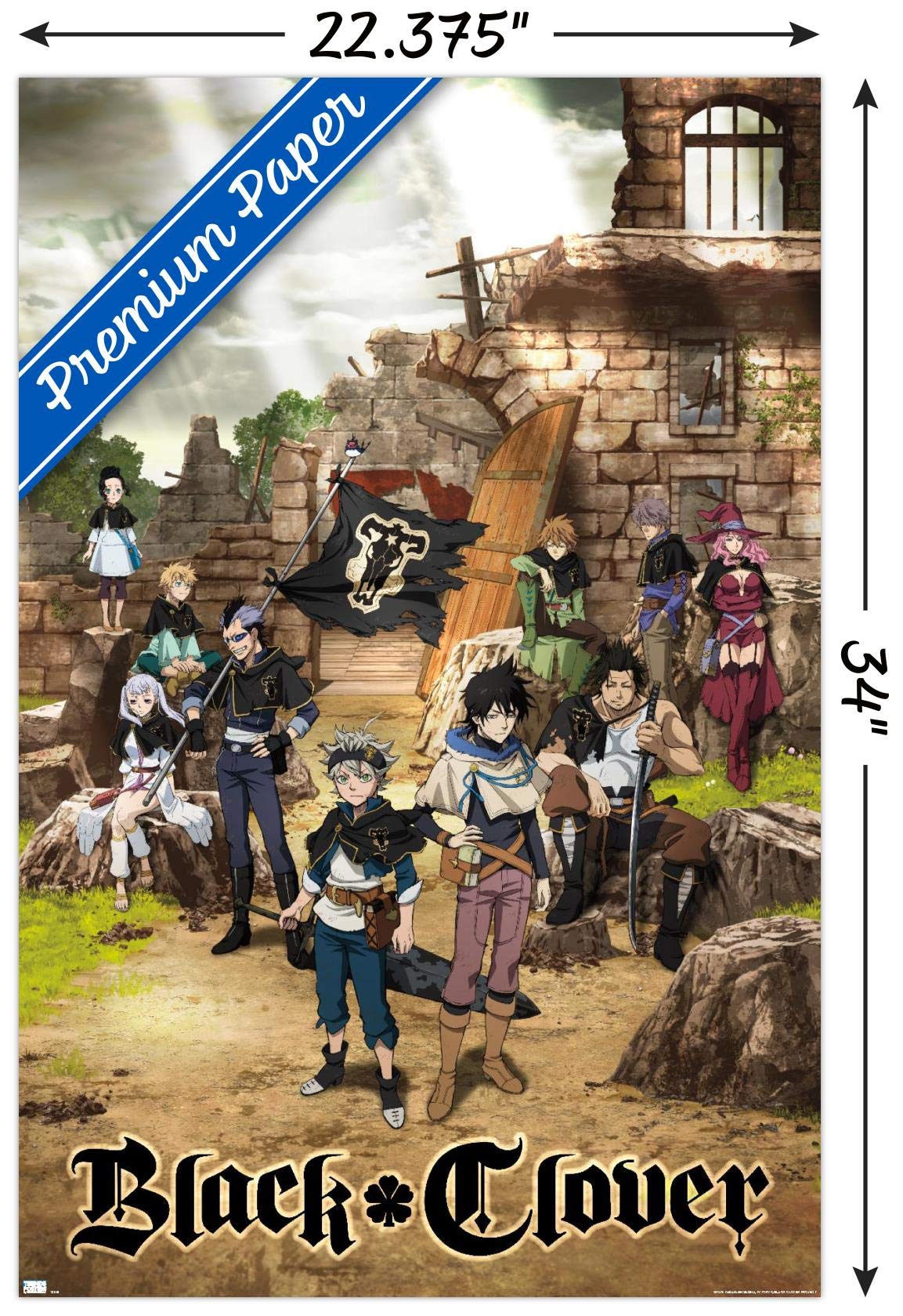 Black Clover - Group Wall Poster : Amazon.ca: Home