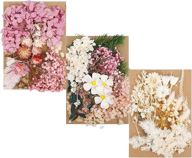 QINREN Real Dried Pressed Flowers and Leaves, 3 Sets Natural Dried Flowers Mixed Artificial Everlasting Flowers DIY Art Craft for Making Bookmarks Scrapbooking Resin Jewelry Pendant