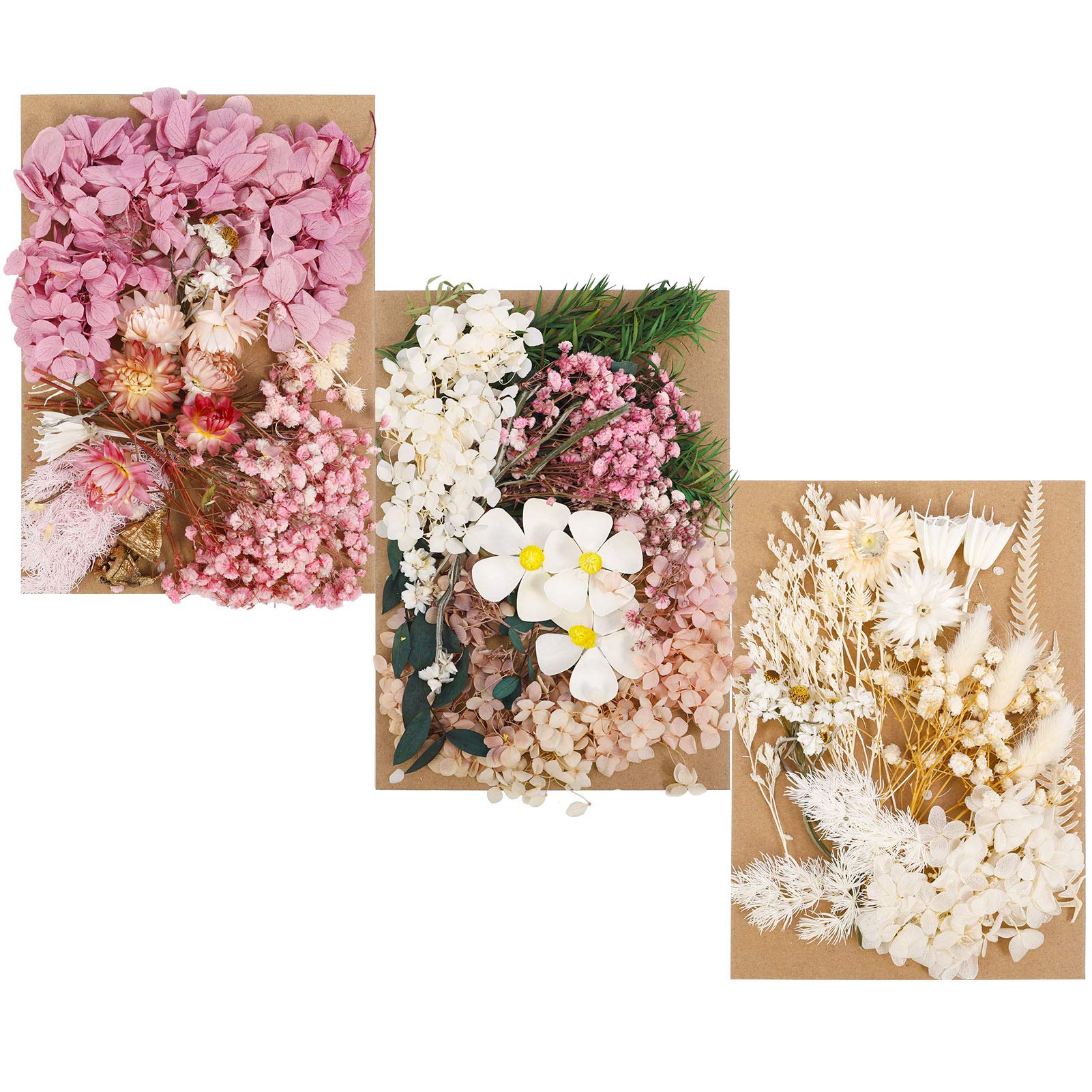 Pressed Flower Jar | Pressed Flower Crafts, Flowers N Jars, Pressed