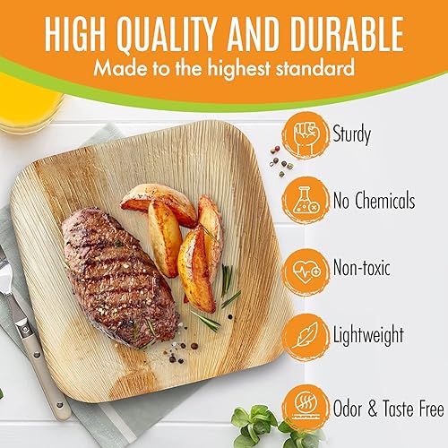 Miniatura 2 de Raj - Platos de hoja de palma compostables ecológicos como platos de bambú desechables, cuadrados de 8 pulgadas, 100 platos de fiesta, madera
