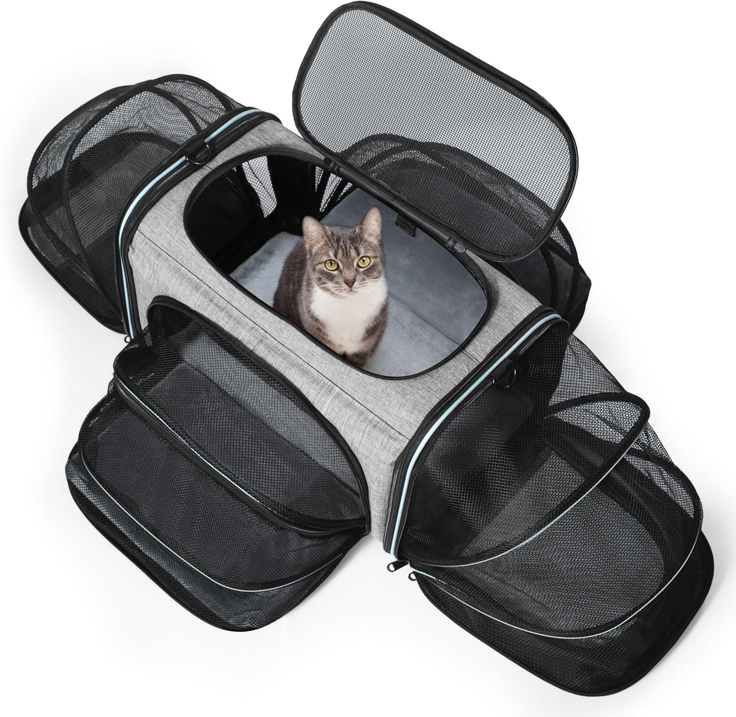 Siivton Cat Carrier,4 Sided Expandable Pet Carrier for Travel,Collapsible Soft-Sided Carriers with Removable Fleece Pad and Shoulder Straps,Airline Approved(17.5"x 11"x 11") 17.5"L x 11.0"W x 11.0"H 4 Extension Gray_Blue