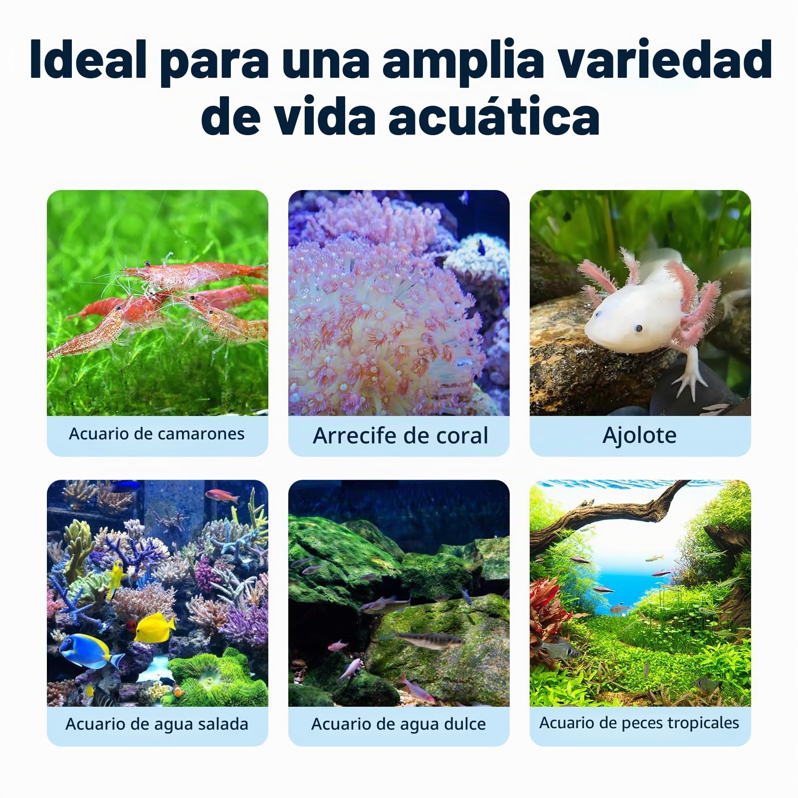 AQUASMITH Ventilador Enfriador de Acuario, Enfriador de pecera con Control de Temperatura, Ajuste mínimo de 15.0 °C, Arranque y Parada automática, Efecto de refrigeración de -14.8 a 12.8 °C, 3 Modos