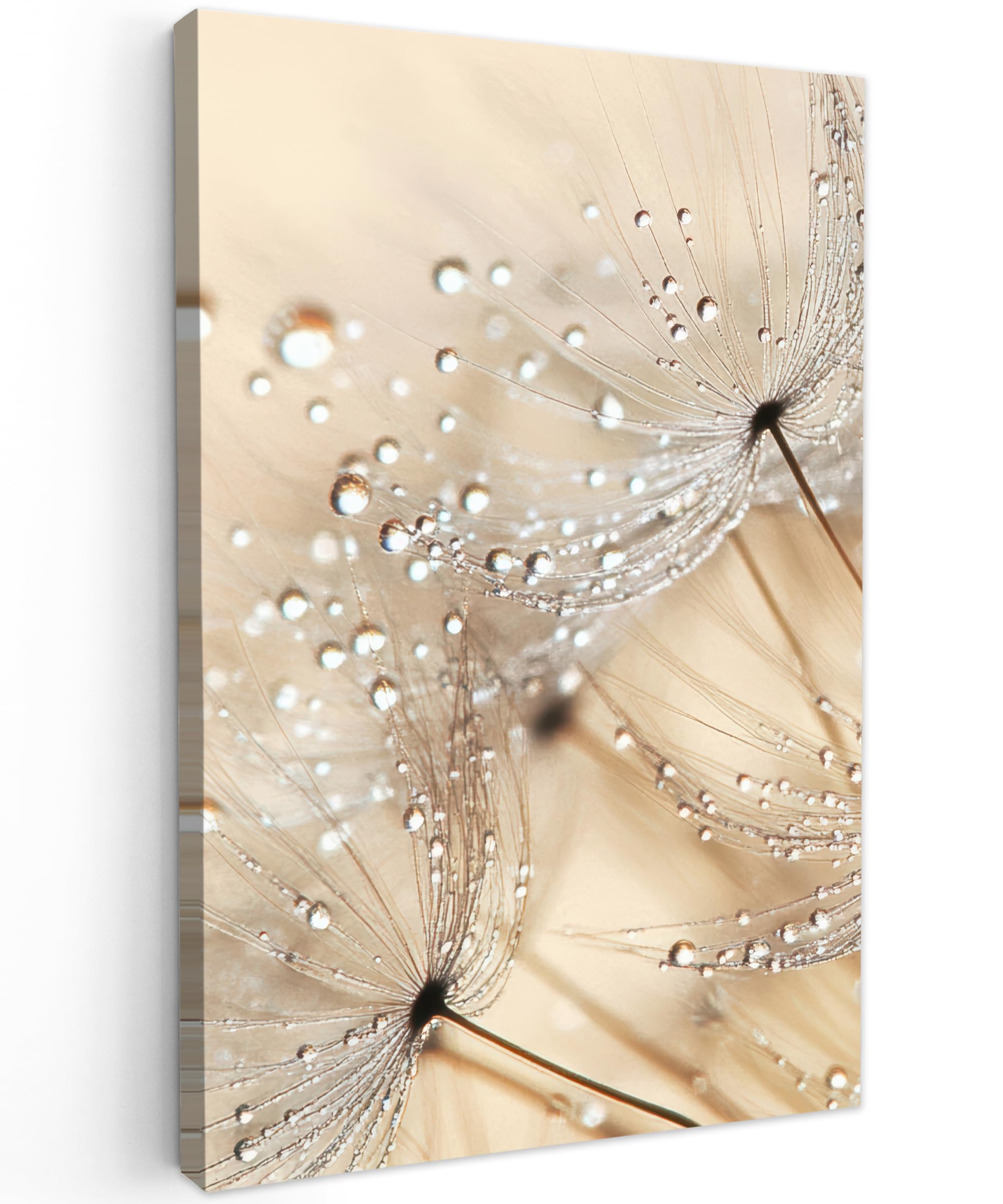 MuchoWow© Canvas Wall Art 16"x24" / 40x60 cm Decor Prints for Living Room Decorative Canvases Hall Artwork Dandelion - Abstract - Nature - Beige