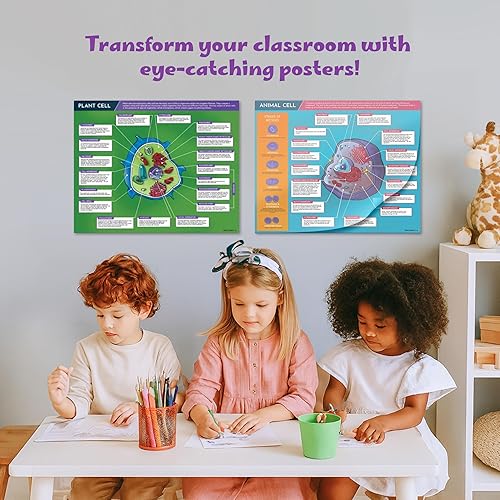 Miniatura 4 de Hubble Bubble Kids Carteles de ciencia para decoración de aulas: 4 carteles de biología incluyen póster de ADN, fotosíntesis, células vegetales y