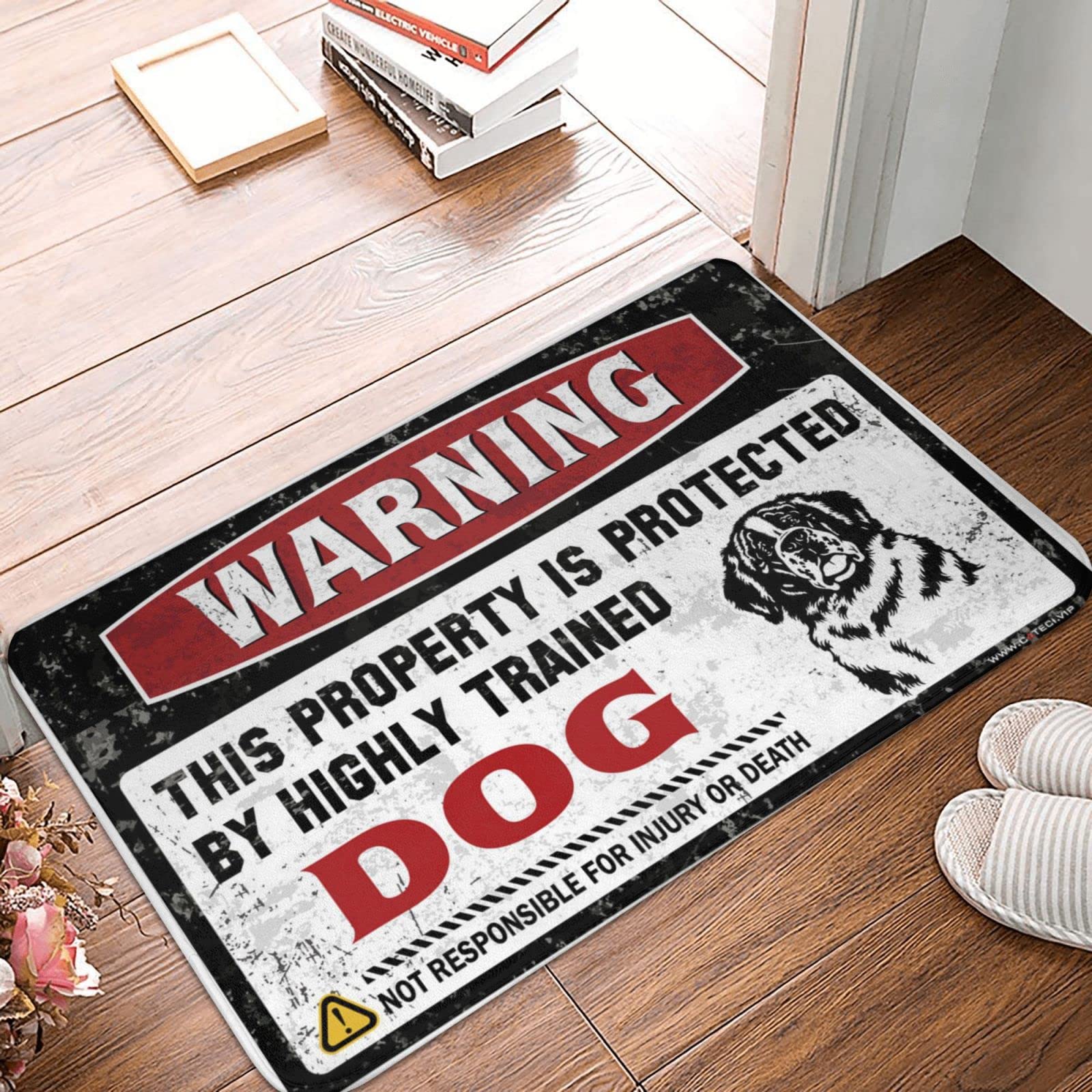 Tapis de bienvenue uni 65x90 cm et paillasson amusant pour entrée de maison