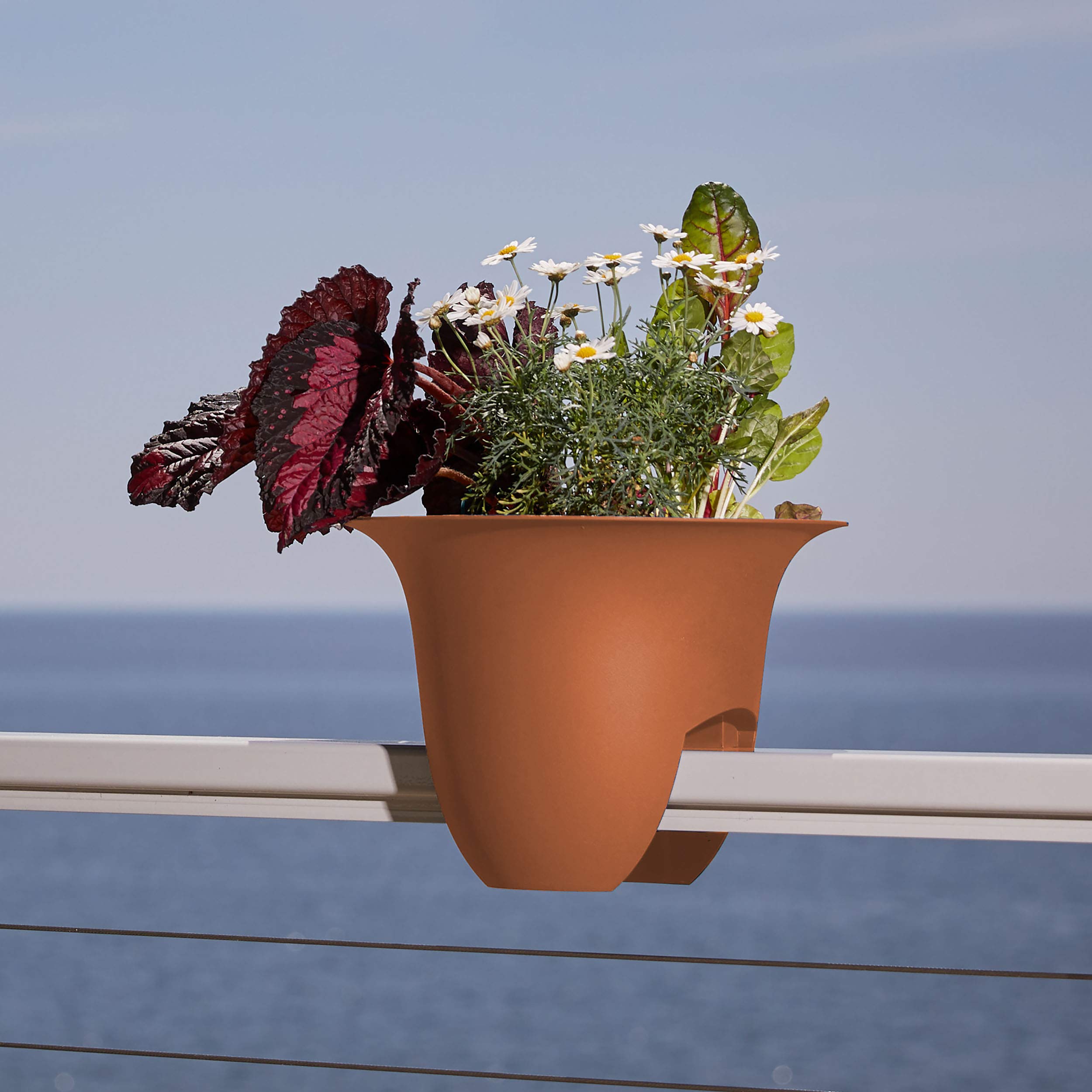 Amazon.com: Bloem Modica Deck Rail Planter 12