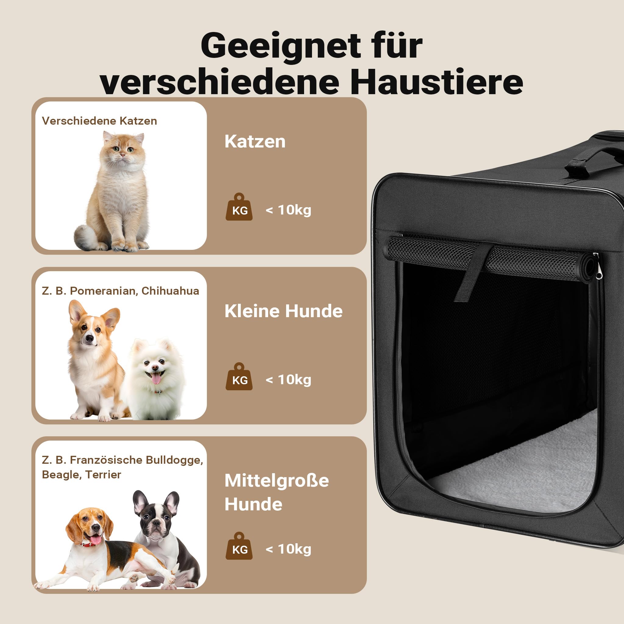 Wiltec Faltbare Transportbox für Hunde, Katzen M (58x46x53 cm), robust, leicht, sicher, Hundebox mit entnehmbarem Kissen, Schwarz
