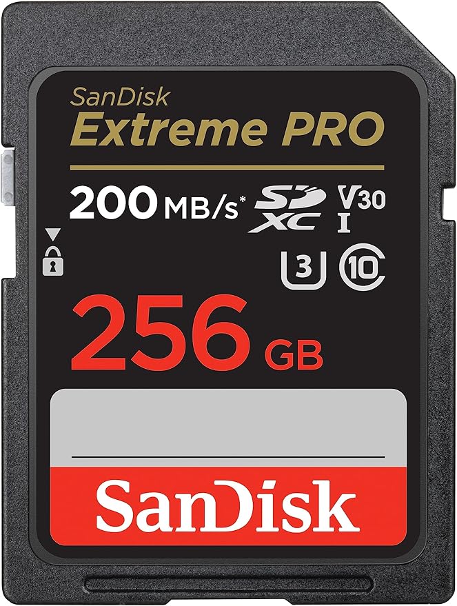 SanDisk 256GB Extreme PRO SDXC UHS-I Memory Card - C10, U3, V30, 4K UHD, SD Card - SDSDXXD-256G-GN4IN, Dark gray/Black