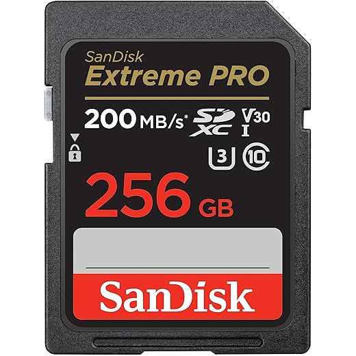 SanDisk 256GB Extreme PRO SDXC UHS-I Memory Card - C10, U3, V30, 4K UHD, SD Card - SDSDXXD-256G-GN4IN, Dark gray/Black
