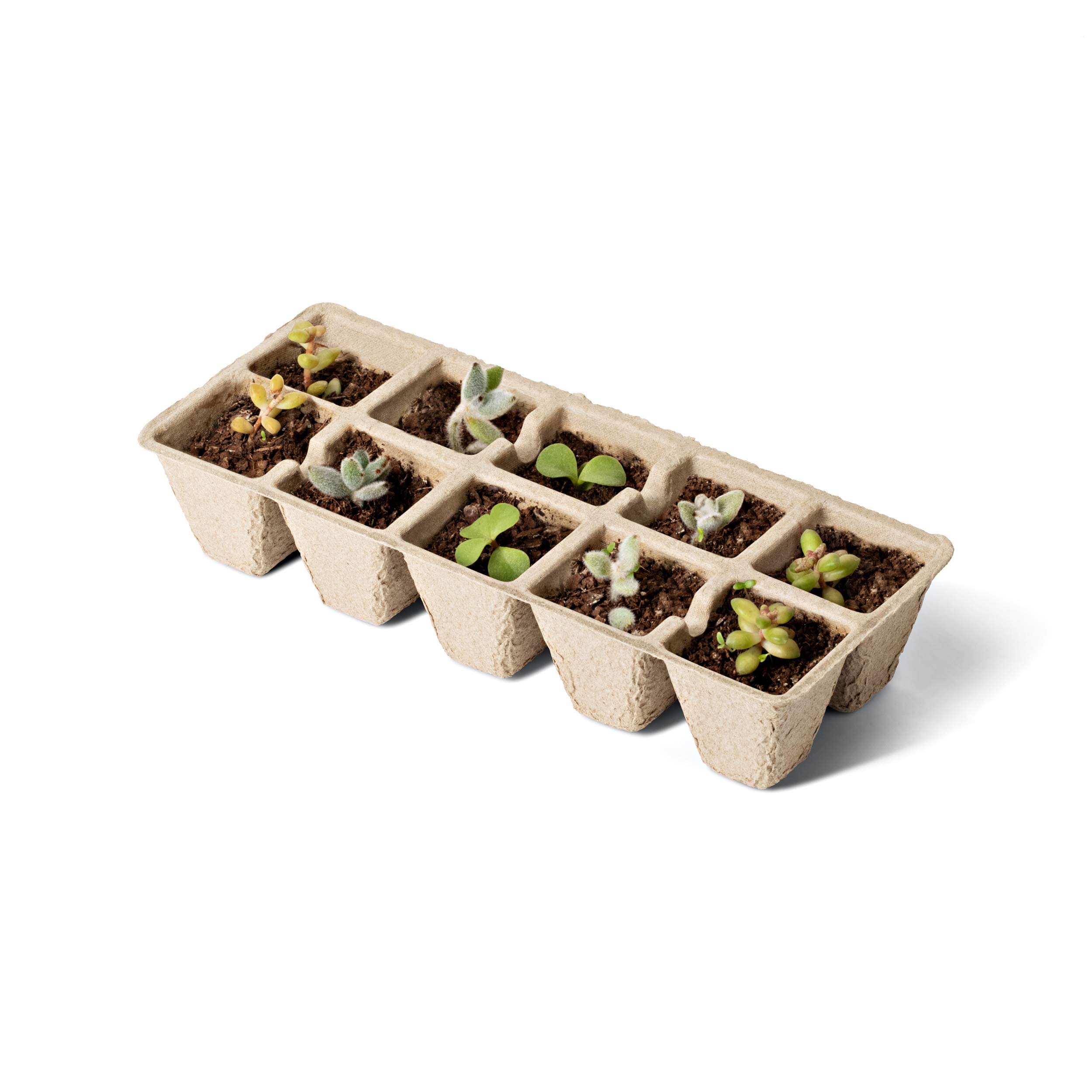 Peat Pots for Seedlings 12pk x 10cells Seed Starter Trays for Herb