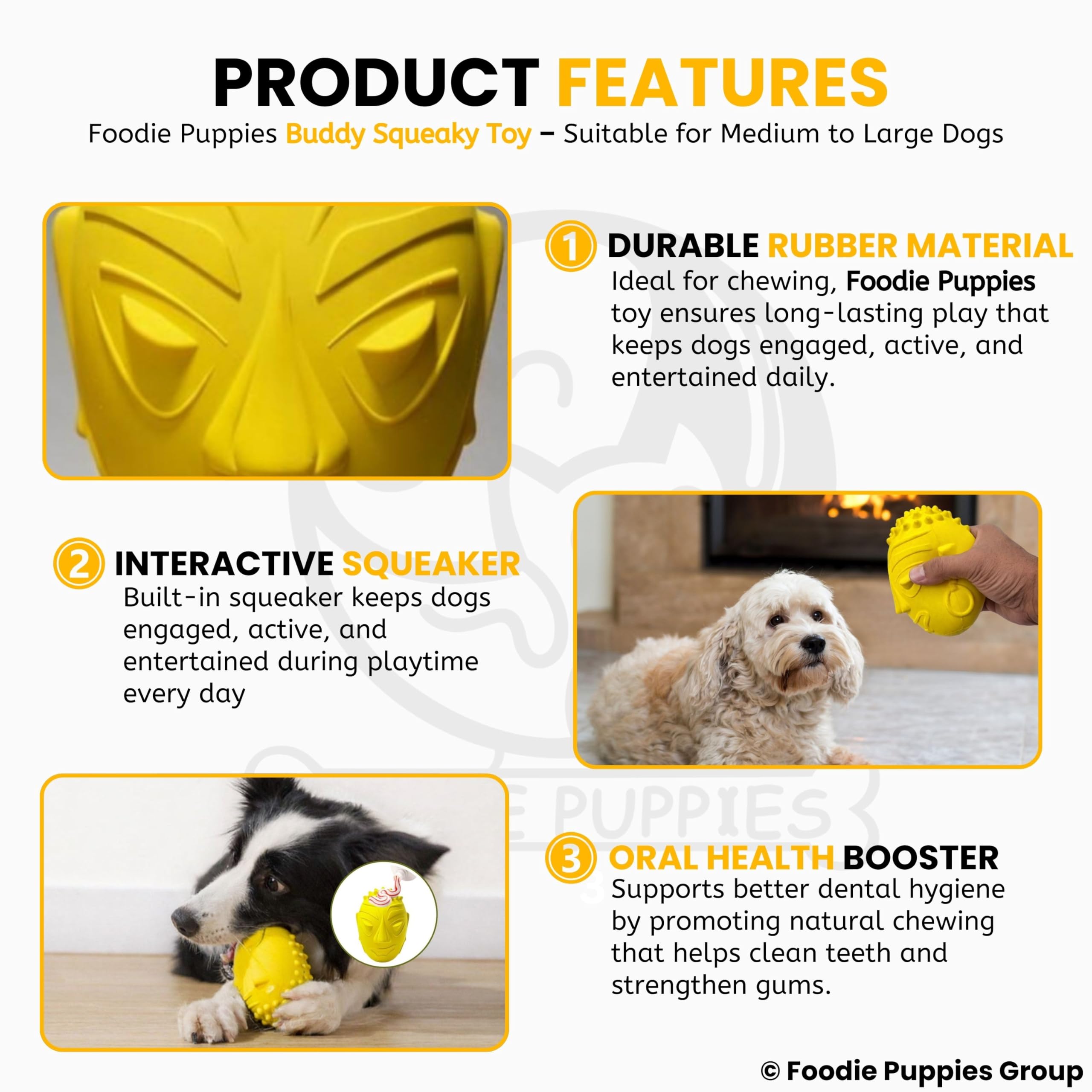 Foodie Puppies Pet Squeaky Dog Toy - (Buddy), Durable Rubber Chew Toy for Medium & Large Dogs, Dental Cleaning Textured Surface, Interactive Squeaker Tough Chew Pet Toy, Easy Grip Dog Toy 2