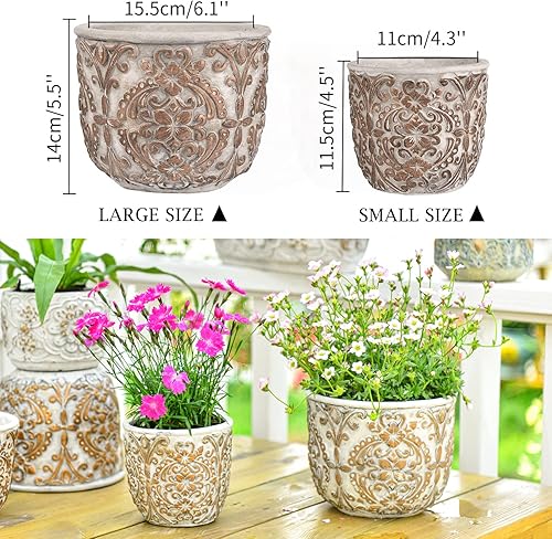 Miniatura 7 de Sungmor Macetas decorativas de cemento para plantas, macetas europeas únicas de concreto en relieve, juego de 2 piezas de 4.3 y 6.1 pulgadas,