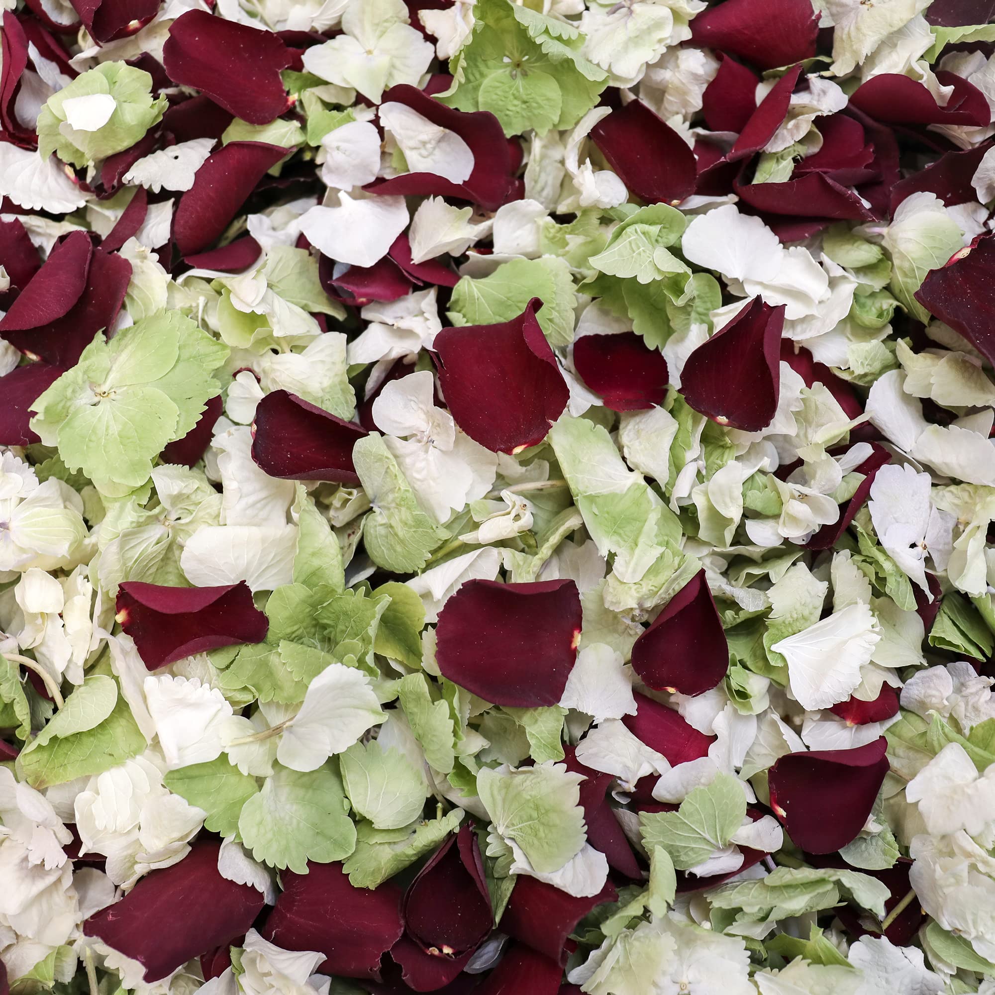Petals And Roses Winter Mix Freeze Dried Hydrangea & Rose Petal Confetti | Natural & Biodegradable For Weddings, 2 Litres