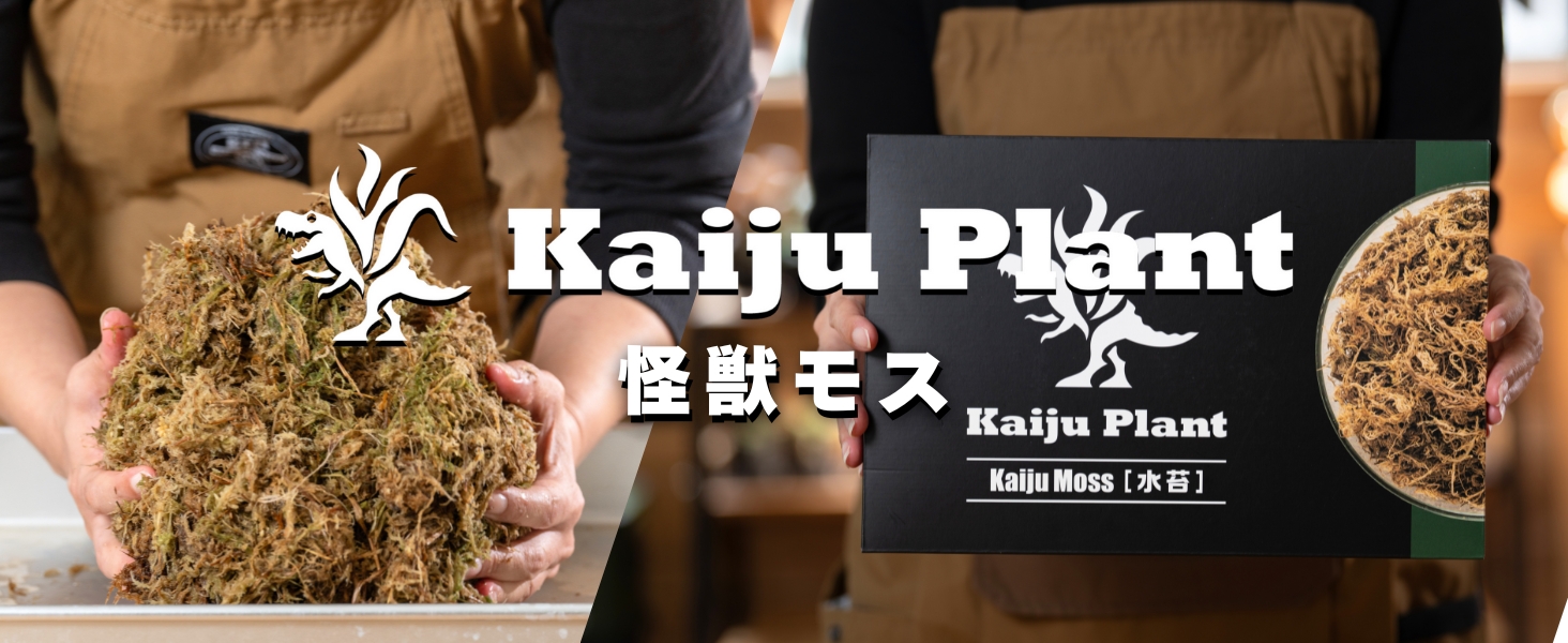 Amazon | Kaiju Plant 怪獣モス ふかふかの水苔 圧縮タイプ 150g 12L