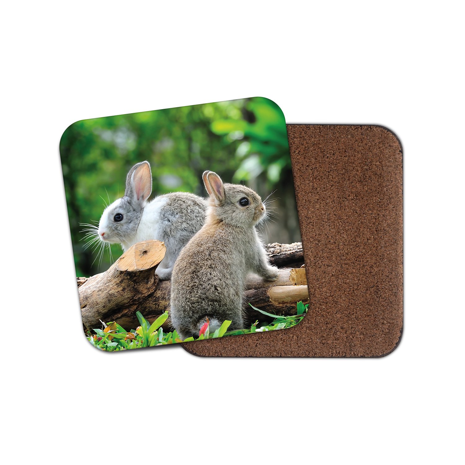 Conigli e Coniglietti - Maileg - Rabbits and Bunnies – PIPI & PUPU and