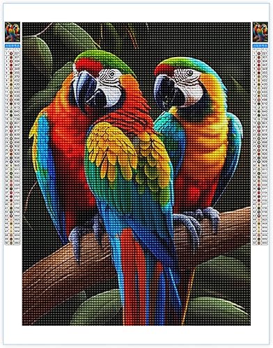 Kits de pintura de diamantes 5D para adultos, loro peculiar, kit de pintura de diamante, hermosos animales de dibujos animados por números para