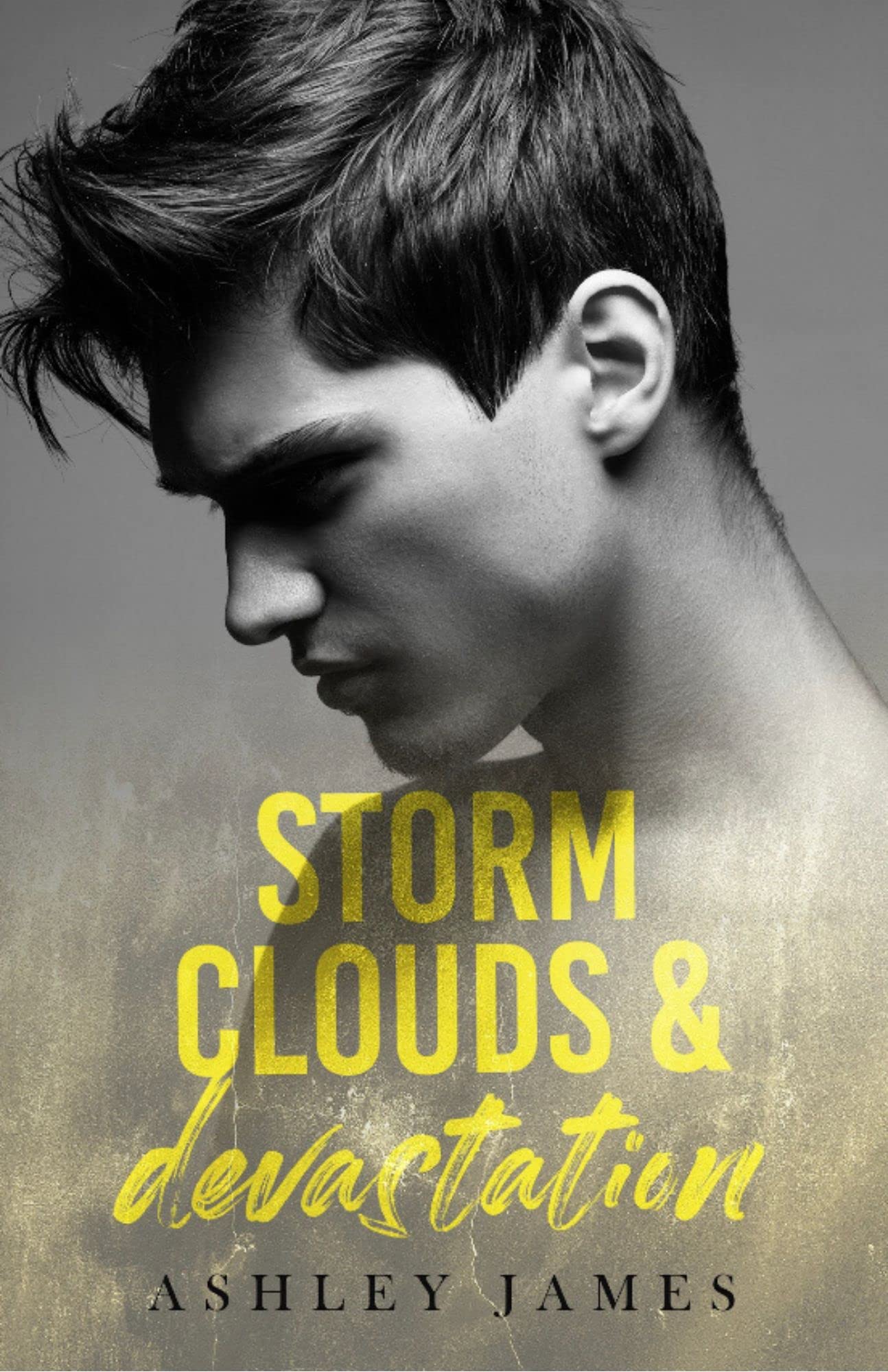 Storm Clouds and Devastation: Hidden Affairs, Book 2